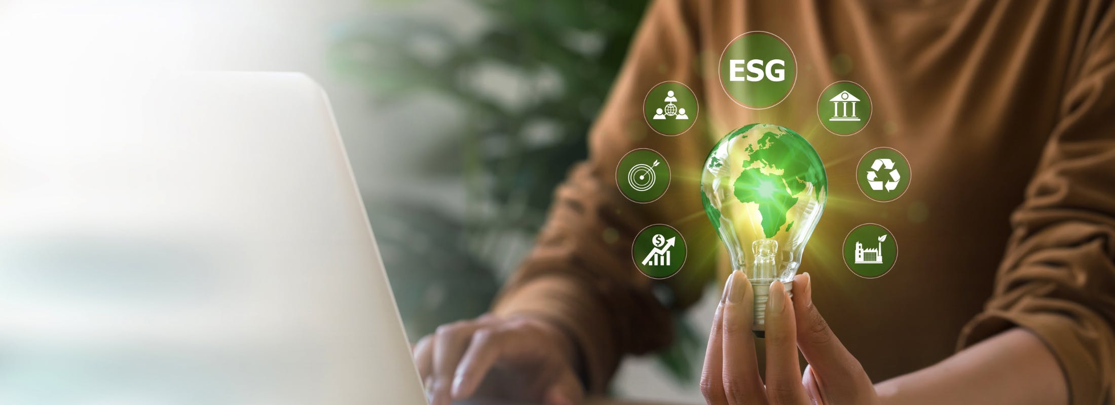 The Olive Tranche — In defence of the SFDR