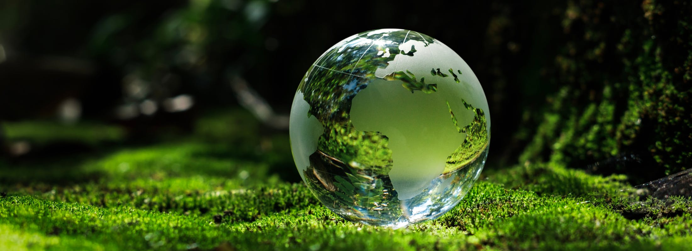 The Olive Tranche — Definitions and distractions in ESG