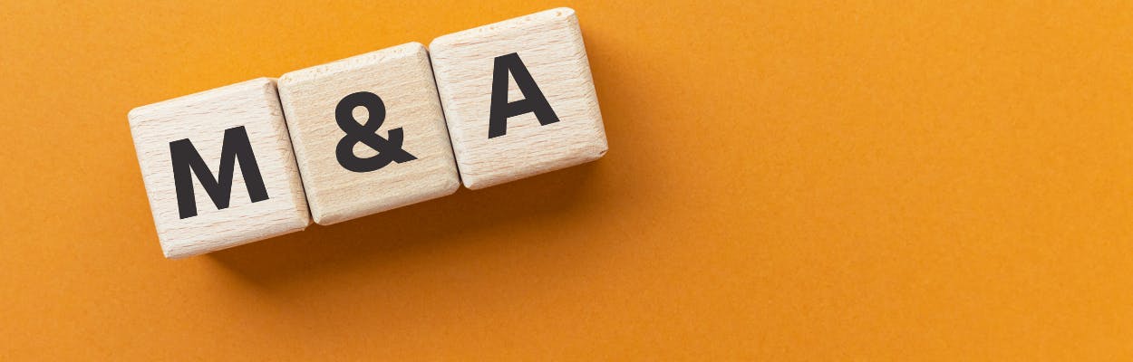 European LevFin M&A - 2021 Issuance blowout and Upcoming Pipeline