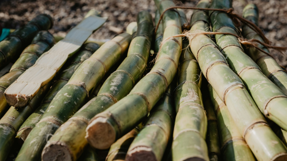 LatAm Weekly — The stakes are high for Raízen’s restructuring