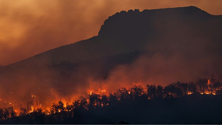 LevFin credits and the impact of European wildfires
