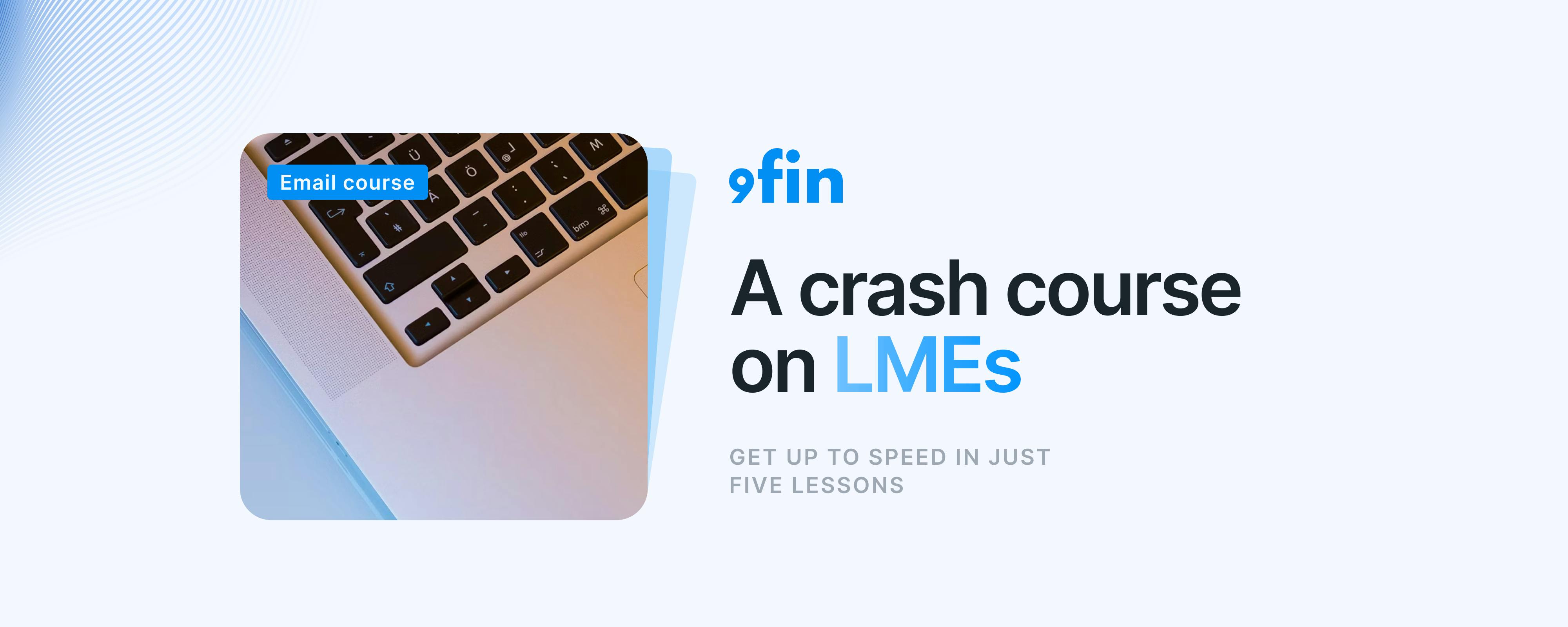 A crash course on LMEs