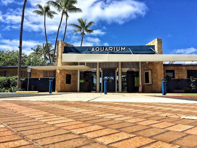PLB solar bollards illuminate plaza entrance to aquarium