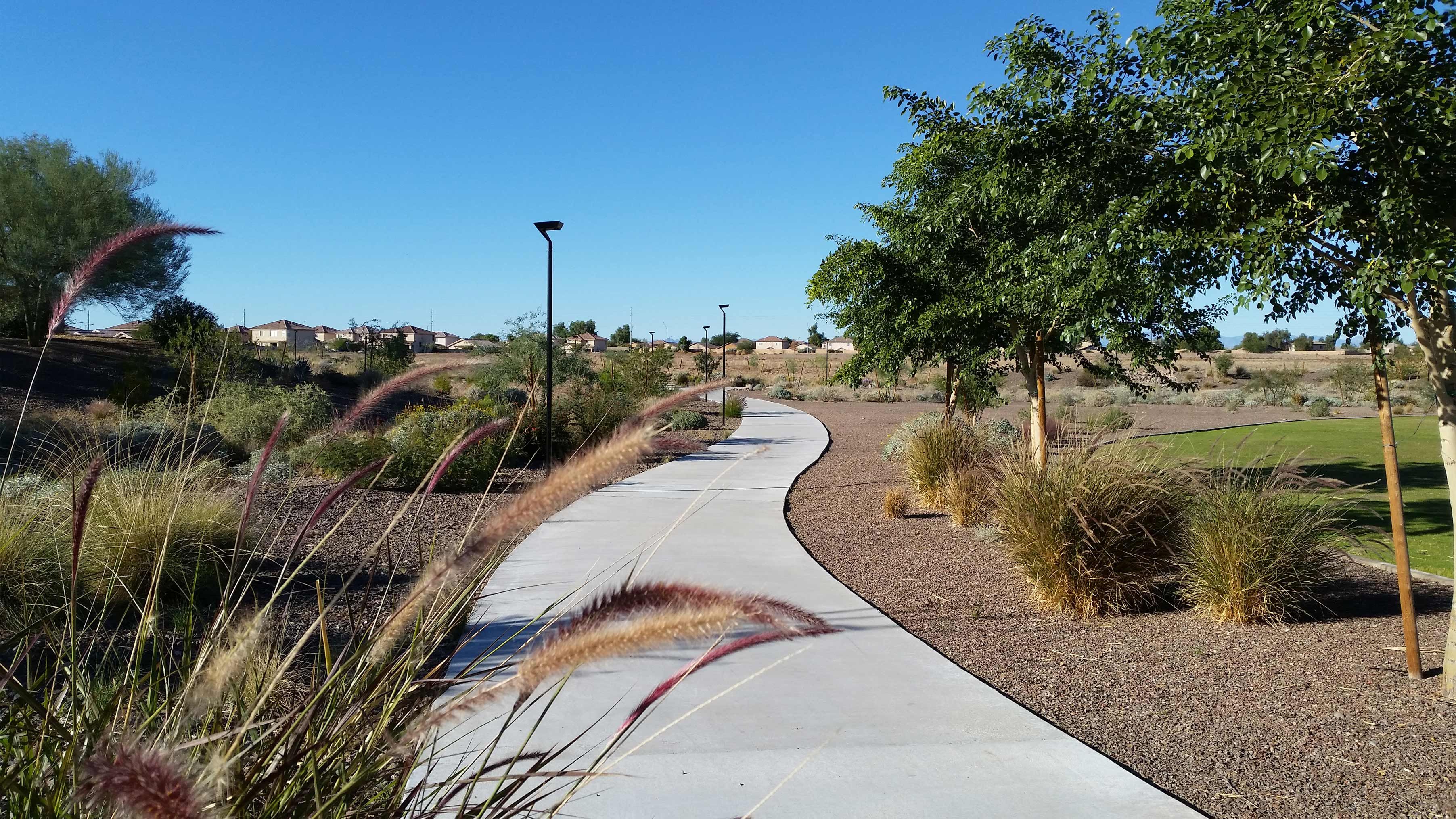 El Mirage Wash Basin Park