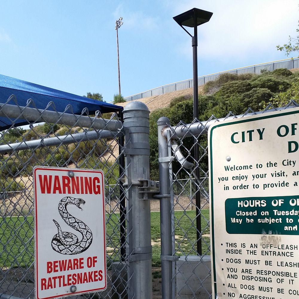 Dog park lighting – FLT IPL area light in San Clemente dog park.