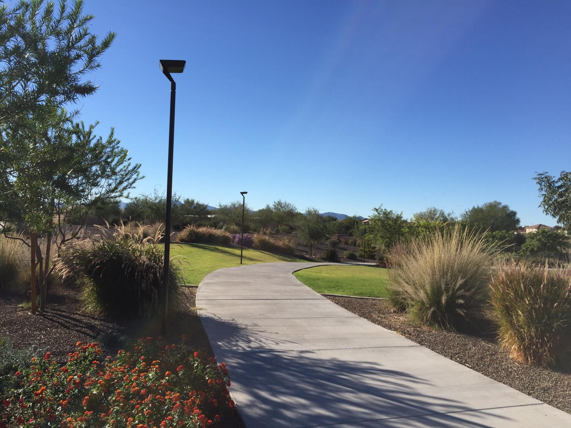 IPL Solar Area Light in El Mirage, AZ