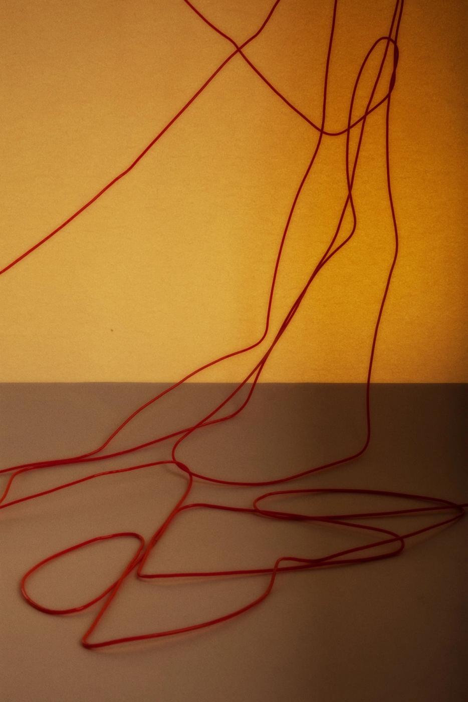 Still Life (1) — photographie 2