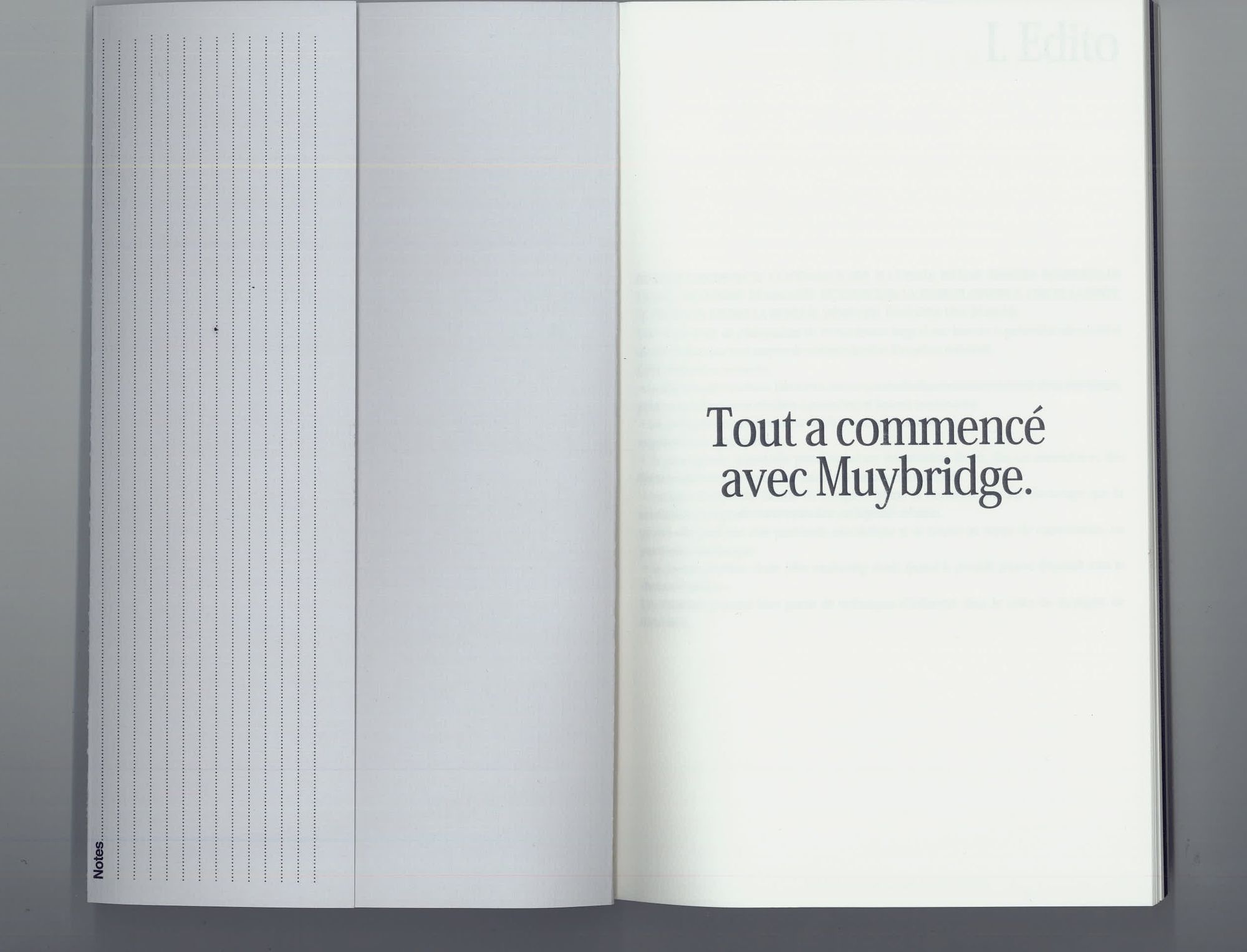 Tout a commencé avec Muybridge — image 1