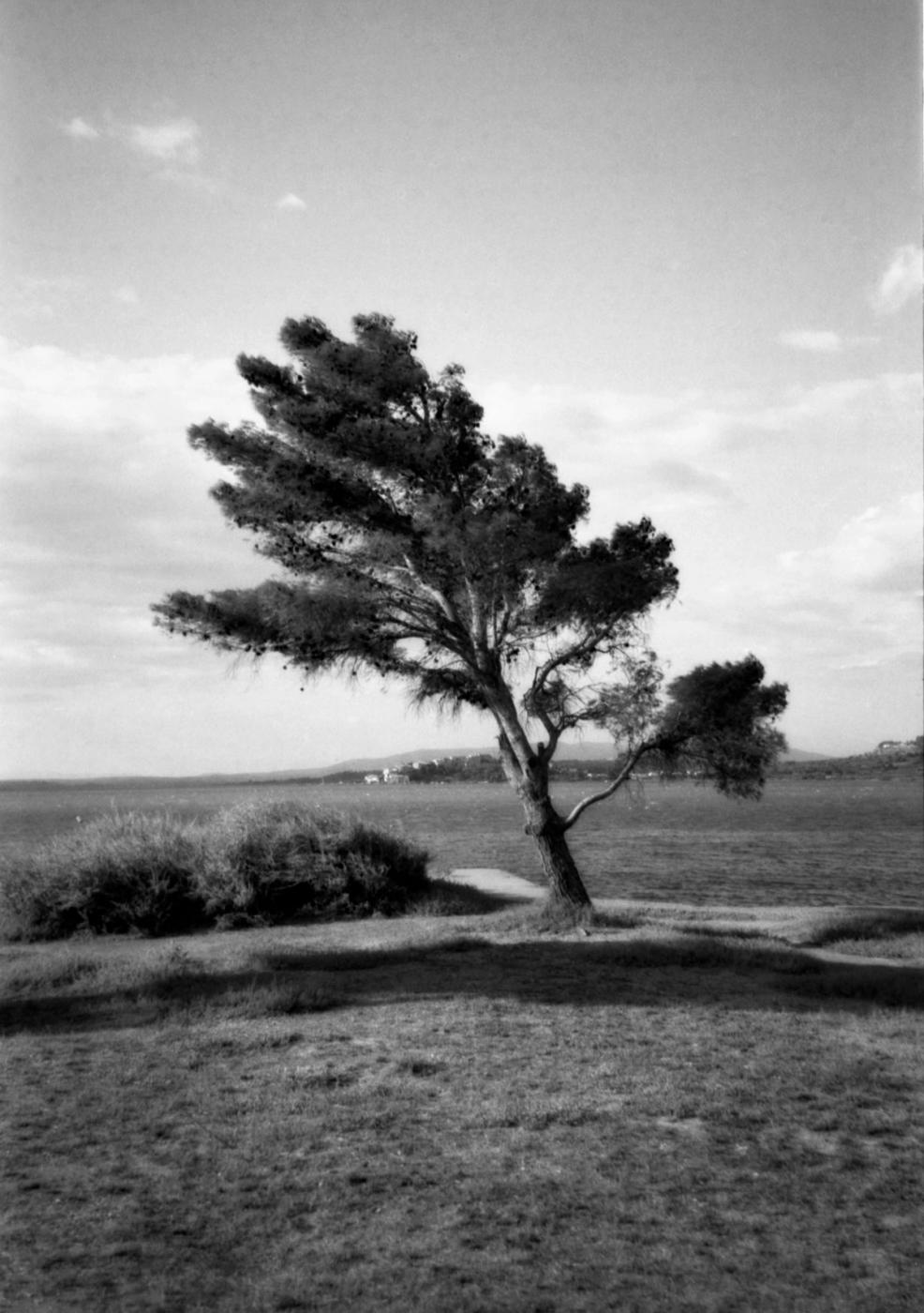 Atlantique — photographie 1