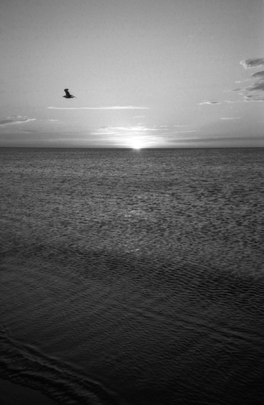 Atlantique — photographie 6