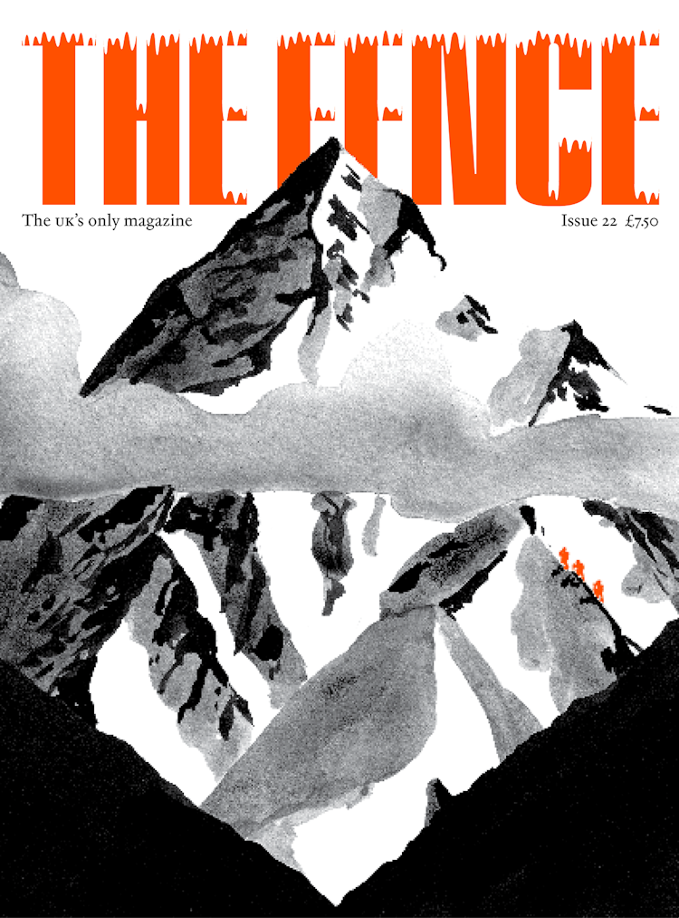 Issue 22