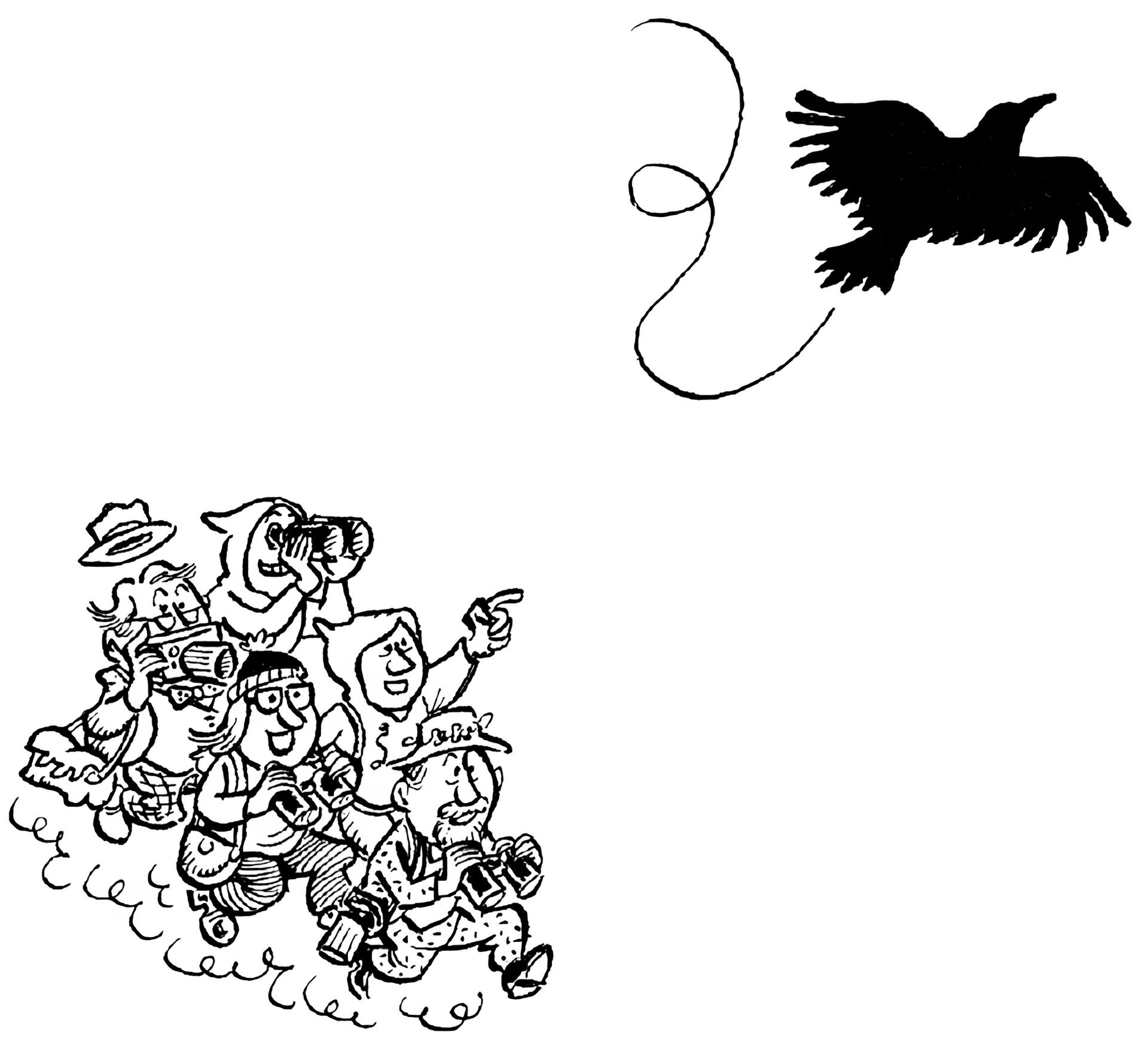 Blackbird Fly, Blackbird Fly