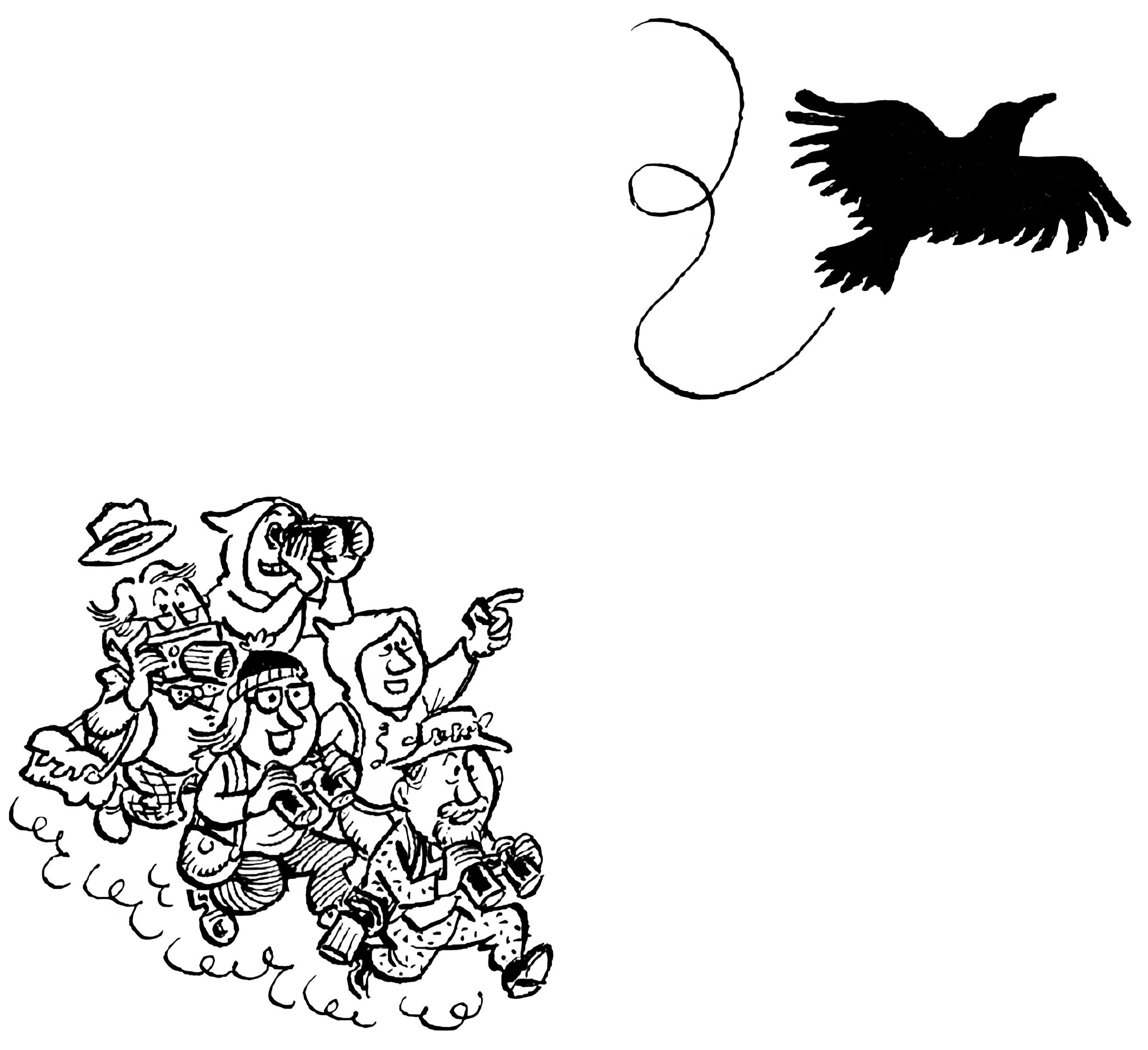 Blackbird Fly, Blackbird Fly