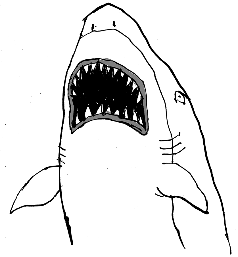 A Shark Tale