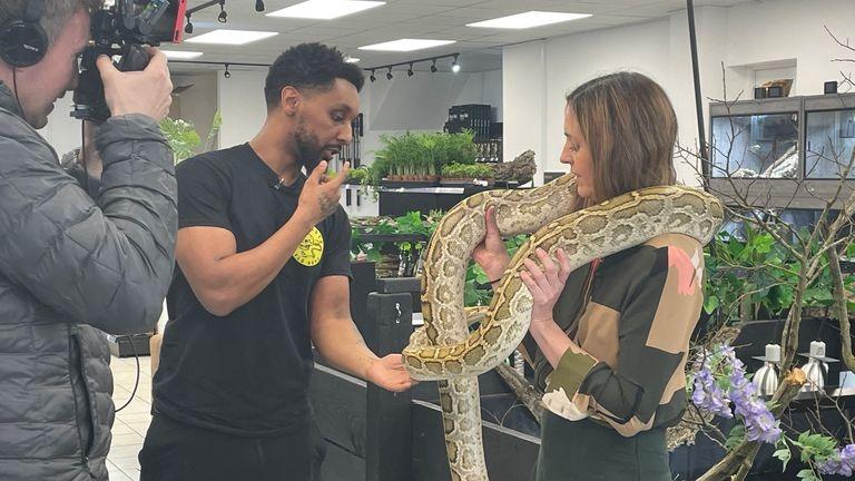 Snake appraisal