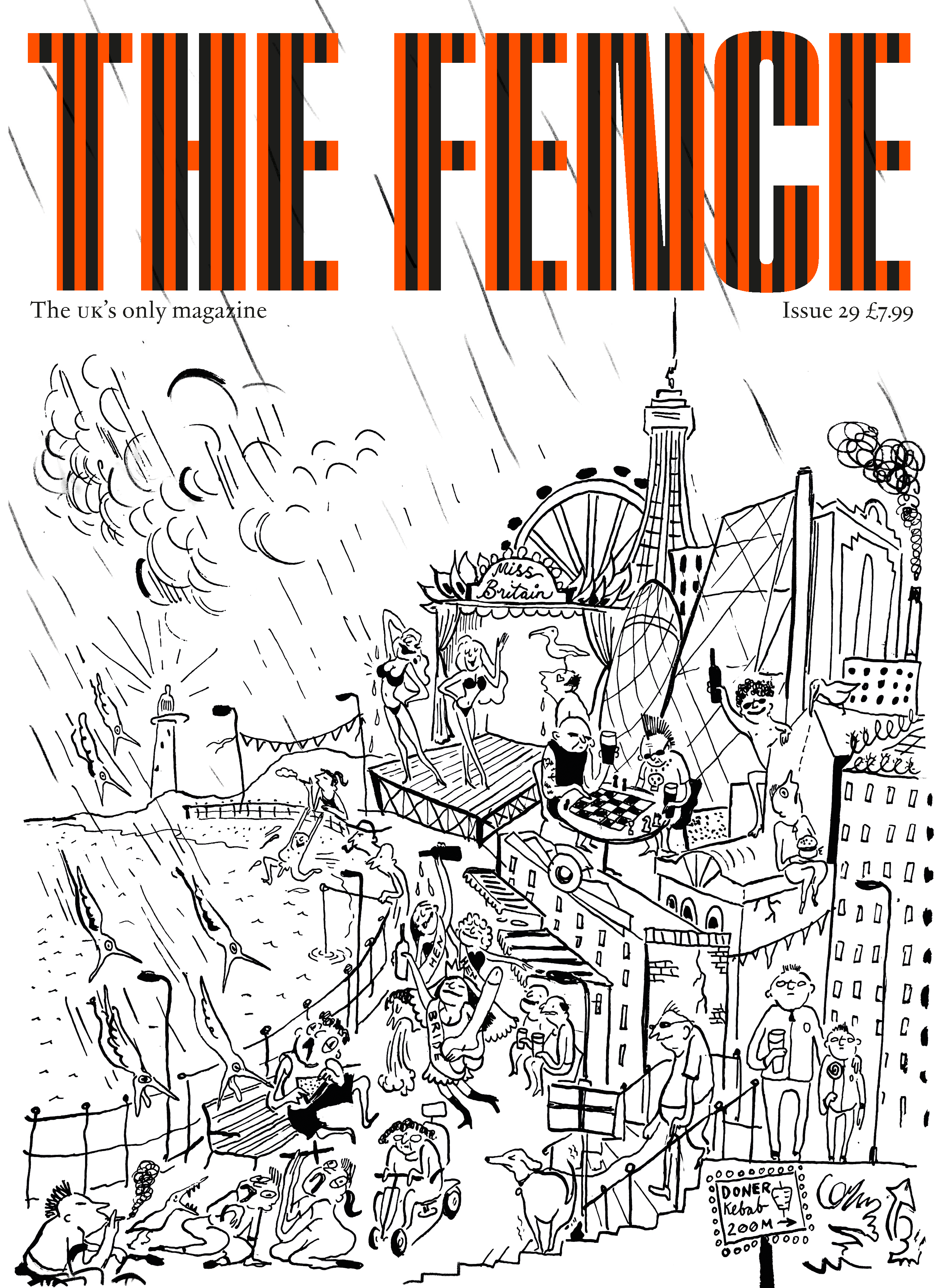 Issue 29