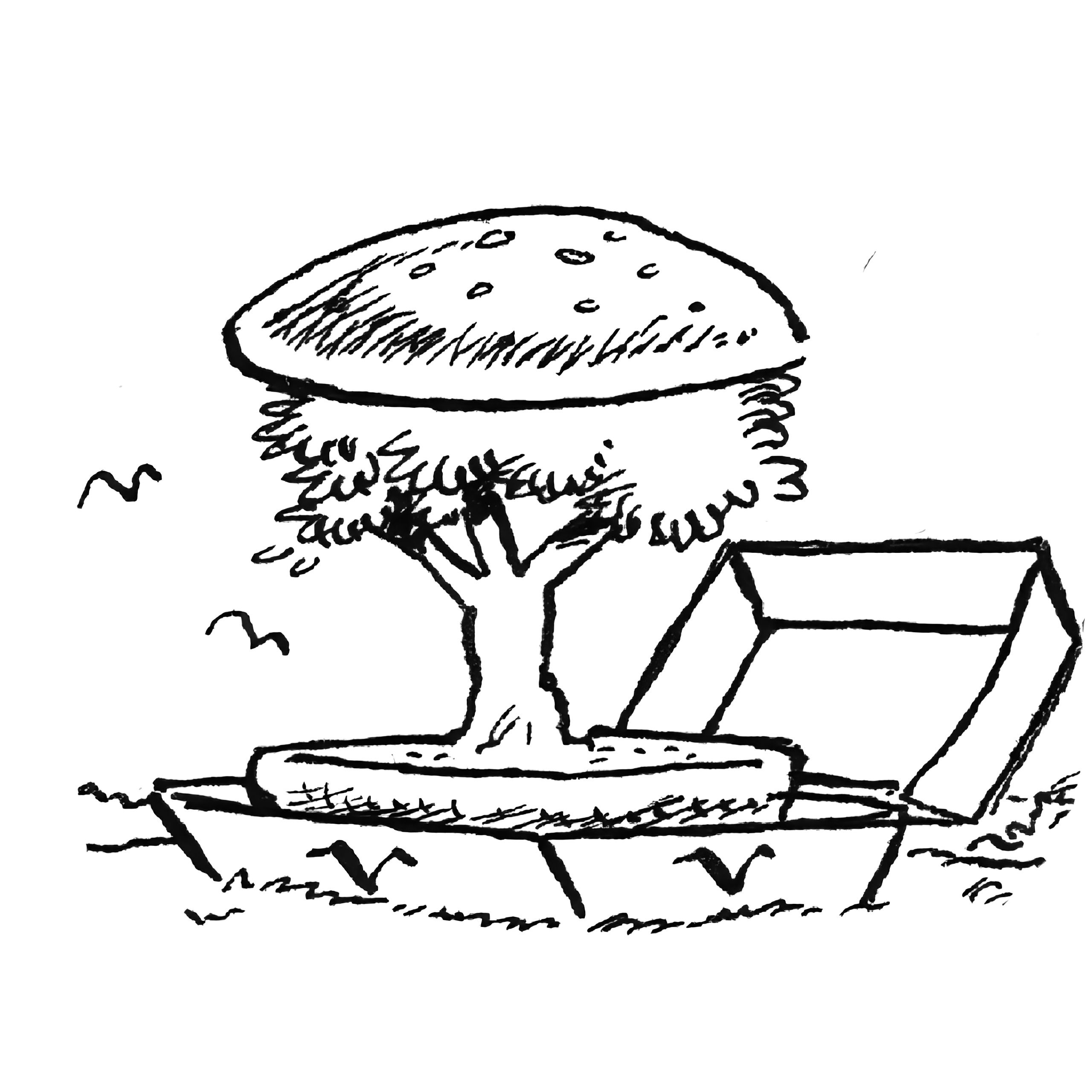 Seed Capital
