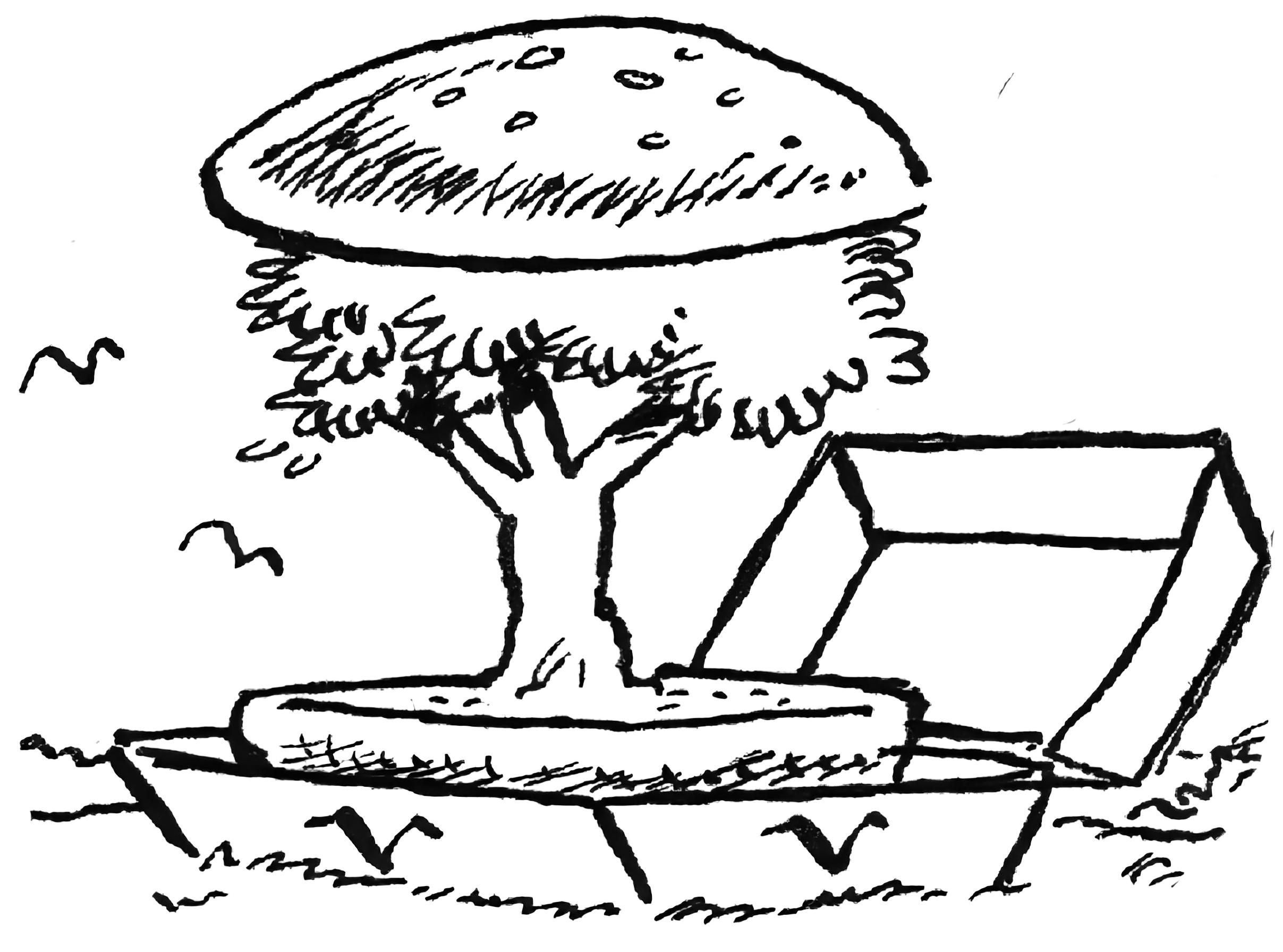 Seed Capital