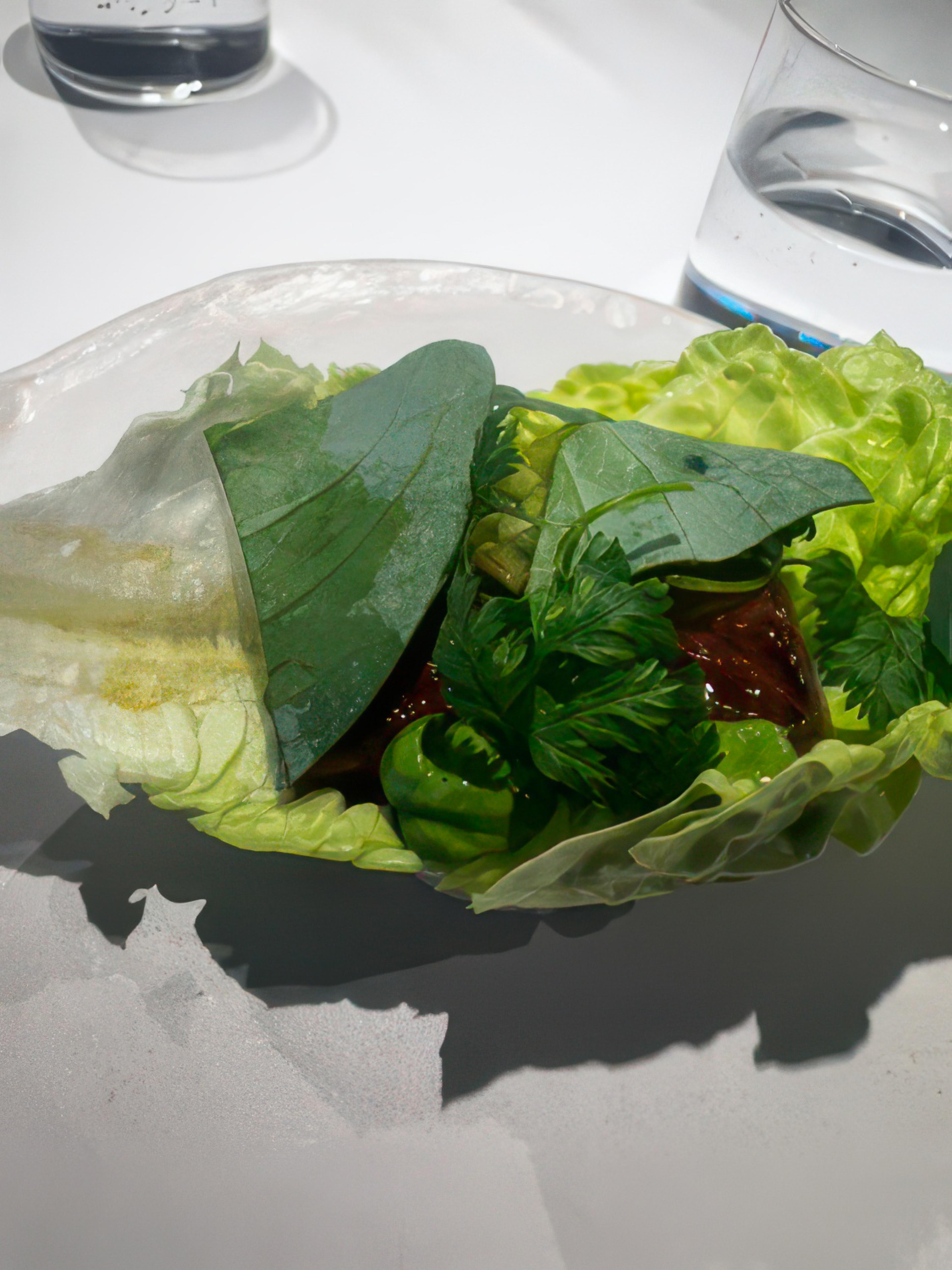 Fresh and Verdant