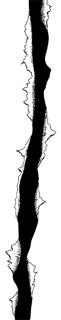 The Knife