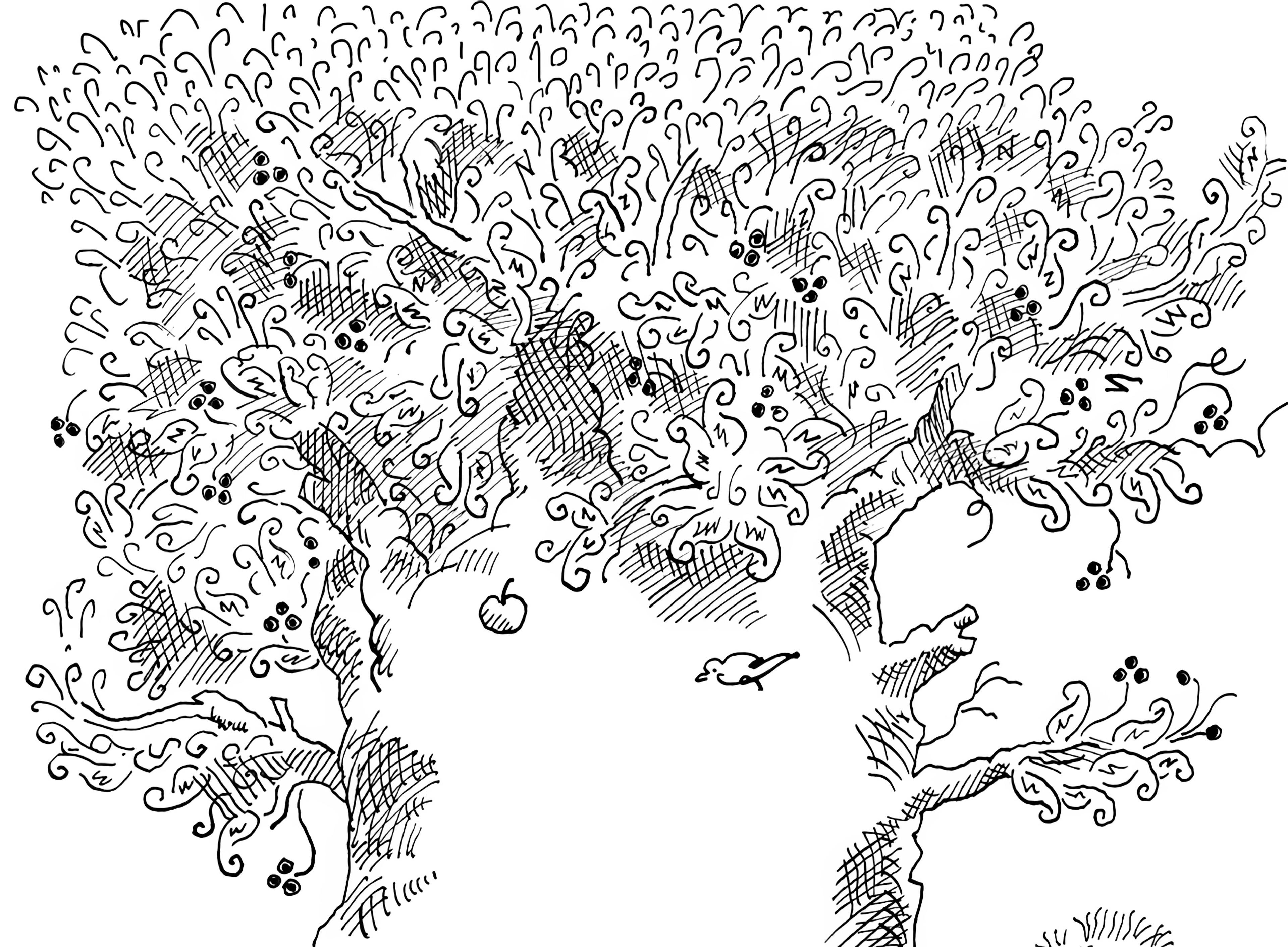 The State of Nature