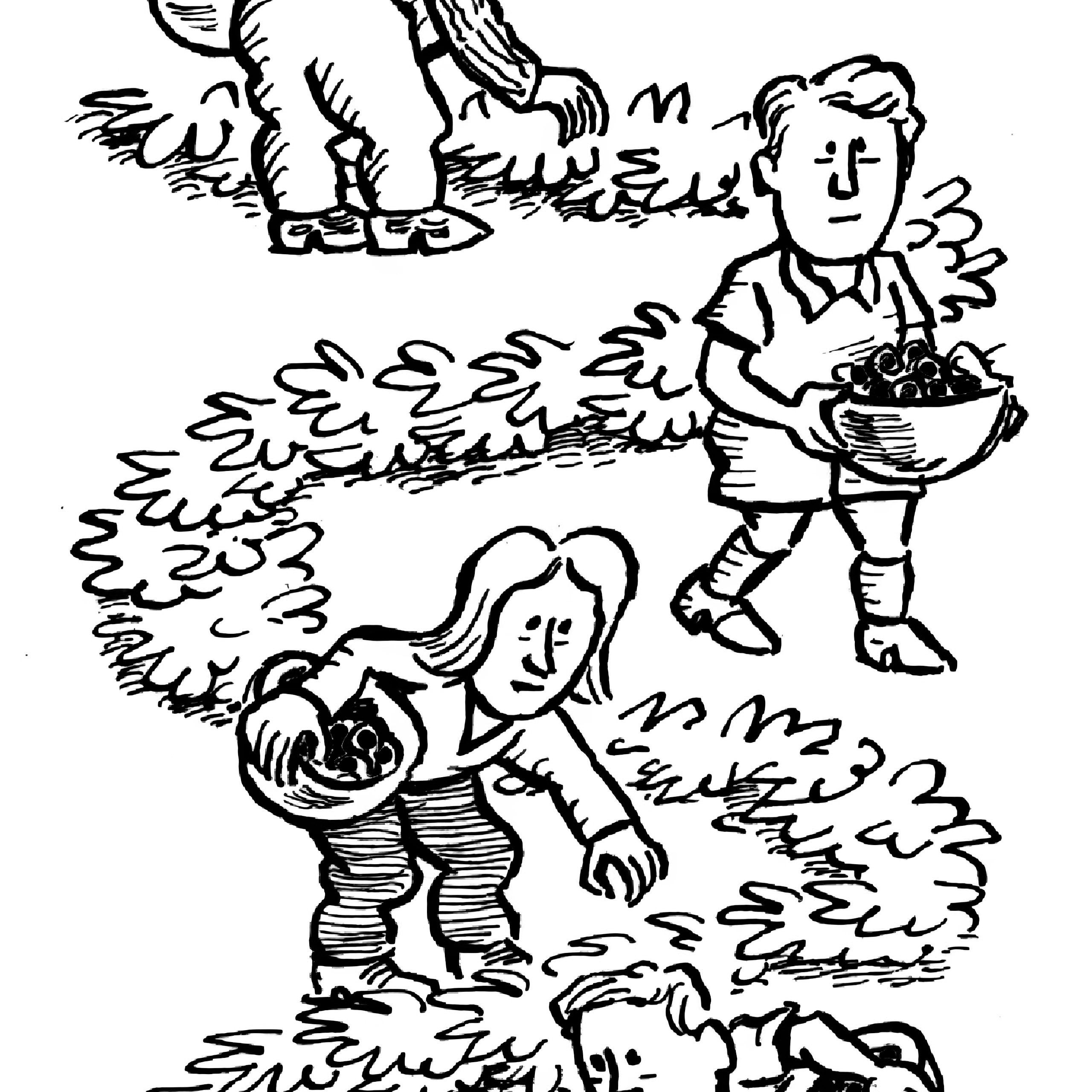 Grow Your Own