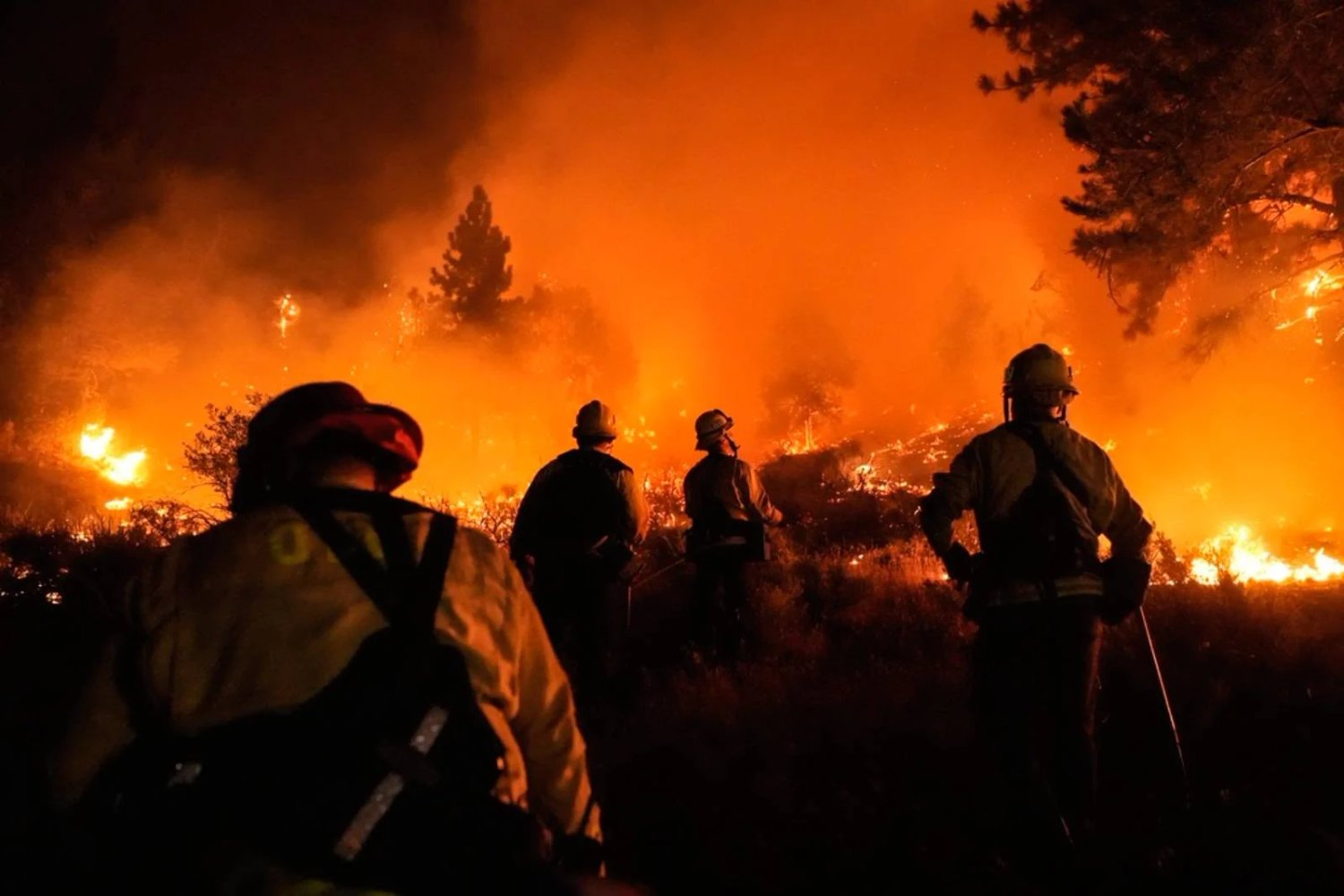 Learning from Los Angeles Fires: Rethinking Safety and Aesthetics.