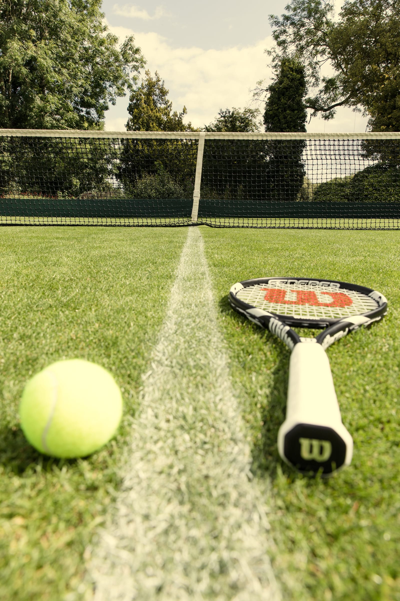 Racket and ball on a grass court