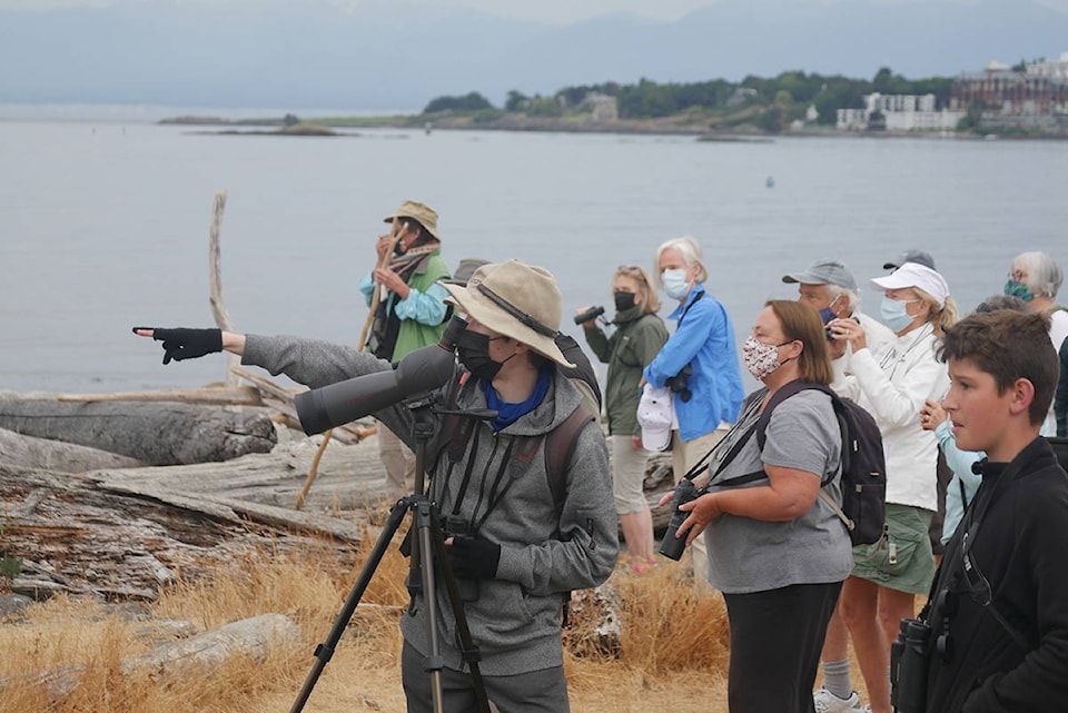 Birding Costa Rica