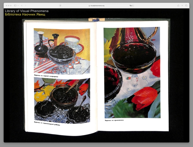 Library of Visual Phenomena