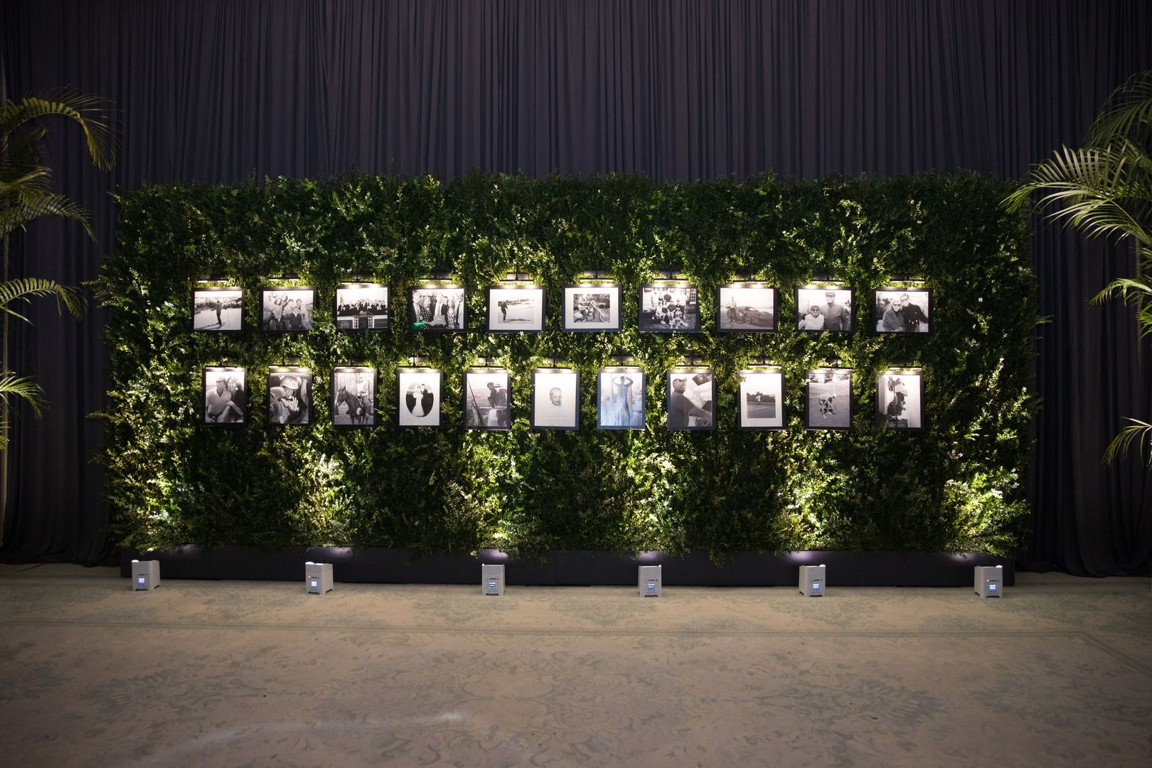 Stephanie Moseley Events