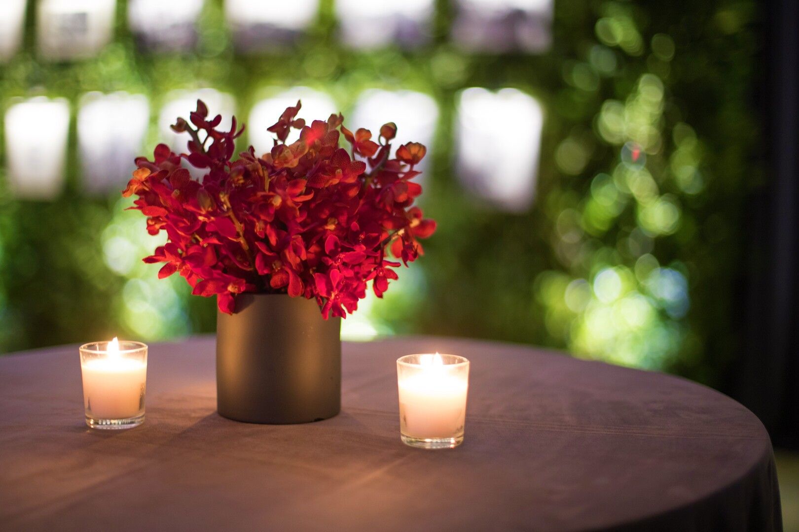 Stephanie Moseley Events