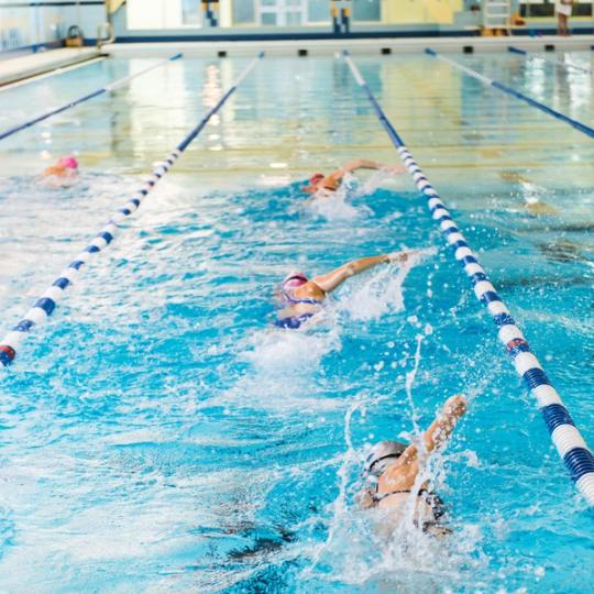 Swimmers in pool​​​​‌﻿‍﻿​‍​‍‌‍﻿﻿‌﻿​‍‌‍‍‌‌‍‌﻿‌‍‍‌‌‍﻿‍​‍​‍​﻿‍‍​‍​‍‌﻿​﻿‌‍​‌‌‍﻿‍‌‍‍‌‌﻿‌​‌﻿‍‌​‍﻿‍‌‍‍‌‌‍﻿﻿​‍​‍​‍﻿​​‍​‍‌‍‍​‌﻿​‍‌‍‌‌‌‍‌‍​‍​‍​﻿‍‍​‍​‍‌‍‍​‌﻿‌​‌﻿‌​‌﻿​​‌﻿​﻿​﻿‍‍​‍﻿﻿​‍﻿﻿‌‍​﻿‌‍‍​‌‍‌‌‌‍﻿​‌﻿​﻿‌‍‌‌‌‍​‌‌﻿​​‌‍‍‌‌‍‌‌‌﻿​‍‌﻿​﻿​‍﻿‍‌﻿​﻿‌‍​‌‌‍﻿‍‌‍‍‌‌﻿‌​‌﻿‍‌​‍﻿‍‌﻿​﻿‌﻿‌​‌﻿‌‌‌‍‌​‌‍‍‌‌‍﻿﻿​‍﻿﻿‌‍‍‌‌‍﻿‍‌﻿‌​‌‍‌‌‌‍﻿‍‌﻿‌​​‍﻿﻿‌‍‌‌‌‍‌​‌‍‍‌‌﻿‌​​‍﻿﻿‌‍﻿‌‌‍﻿﻿‌‍‌​‌‍‌‌​﻿﻿‌‌﻿​​‌﻿​‍‌‍‌‌‌﻿​﻿‌‍‌‌‌‍﻿‍‌﻿‌​‌‍​‌‌﻿‌​‌‍‍‌‌‍﻿﻿‌‍﻿‍​﻿‍﻿‌‍‍‌‌‍‌​​﻿﻿‌​﻿‌‍​﻿‍‌​﻿‌​​﻿‌﻿​﻿​‌​﻿‍‌​﻿​‌​﻿​﻿​‍﻿‌‌‍‌‍​﻿​​​﻿‌‍​﻿​​​‍﻿‌​﻿‌​‌‍‌‍​﻿‌‌​﻿​​​‍﻿‌‌‍​‍​﻿‌​​﻿‍​​﻿‌‍​‍﻿‌‌‍‌‌‌‍​‌​﻿​‌​﻿​‍​﻿‌﻿​﻿​﻿​﻿​​​﻿‍​‌‍​‍​﻿‌﻿‌‍‌‌​﻿​​​﻿‍﻿‌﻿‌​‌﻿‍‌‌﻿​​‌‍‌‌​﻿﻿‌‌‍‌‍‌‍‍‌‌﻿‌​‌‍﻿‍‌‍‌‌‌﻿​﻿‌﻿​﻿‌​​﻿‌‍﻿​‌﻿‌‌‌‍​‍‌‌​﻿‌‍﻿​‌﻿‌‌‌‍‌﻿‌‌​​‌‍​‌‌‍‌﻿‌‍‌‌​﻿‍﻿‌﻿​​‌‍​‌‌﻿‌​‌‍‍​​﻿﻿‌‌﻿​​‌‍​‌‌‍‌﻿‌‍‌‌‌​​‍‌﻿‌‌‌‍‍‌‌‍﻿​‌‍‌​‌‍‌‌‌﻿​‍​‍‌‌​﻿‌‌‌​​‍‌‌﻿﻿‌‍‍﻿‌‍‌‌‌﻿‍‌​‍‌‌​﻿​﻿‌​‌​​‍‌‌​﻿​﻿‌​‌​​‍‌‌​﻿​‍​﻿​‍​﻿‌​‌‍​﻿‌‍​‍‌‍​‌‌‍​‌​﻿‌‍​﻿‌‍​﻿‌‌​﻿‌﻿​﻿​﻿​﻿‌‌​﻿‌‌​‍‌‌​﻿​‍​﻿​‍​‍‌‌​﻿‌‌‌​‌​​‍﻿‍‌‍​﻿‌‍​‌‌﻿​‍‌‍‌​‌﻿​﻿​‍‌‌​﻿‌‌‌​​‍‌‌﻿﻿‌‍‍﻿‌‍‌‌‌﻿‍‌​‍‌‌​﻿​﻿‌​‌​​‍‌‌​﻿​﻿‌​‌​​‍‌‌​﻿​‍​﻿​‍​﻿‌‌​﻿‍‌​﻿‍​‌‍‌​​﻿‌​​﻿​‍​﻿​‌​﻿​﻿‌‍‌​​﻿‌‍‌‍​‍​﻿​﻿​‍‌‌​﻿​‍​﻿​‍​‍‌‌​﻿‌‌‌​‌​​‍﻿‍‌‍​‌‌‍﻿​‌﻿‌​​﻿﻿﻿‌‍​‍‌‍​‌‌﻿​﻿‌‍‌‌‌‌‌‌‌﻿​‍‌‍﻿​​﻿﻿‌‌‍‍​‌﻿‌​‌﻿‌​‌﻿​​‌﻿​﻿​‍‌‌​﻿​﻿‌​​‌​‍‌‌​﻿​‍‌​‌‍​‍‌‌​﻿​‍‌​‌‍‌‍​﻿‌‍‍​‌‍‌‌‌‍﻿​‌﻿​﻿‌‍‌‌‌‍​‌‌﻿​​‌‍‍‌‌‍‌‌‌﻿​‍‌﻿​﻿​‍﻿‍‌﻿​﻿‌‍​‌‌‍﻿‍‌‍‍‌‌﻿‌​‌﻿‍‌​‍﻿‍‌﻿​﻿‌﻿‌​‌﻿‌‌‌‍‌​‌‍‍‌‌‍﻿﻿​‍‌‍‌‍‍‌‌‍‌​​﻿﻿‌​﻿‌‍​﻿‍‌​﻿‌​​﻿‌﻿​﻿​‌​﻿‍‌​﻿​‌​﻿​﻿​‍﻿‌‌‍‌‍​﻿​​​﻿‌‍​﻿​​​‍﻿‌​﻿‌​‌‍‌‍​﻿‌‌​﻿​​​‍﻿‌‌‍​‍​﻿‌​​﻿‍​​﻿‌‍​‍﻿‌‌‍‌‌‌‍​‌​﻿​‌​﻿​‍​﻿‌﻿​﻿​﻿​﻿​​​﻿‍​‌‍​‍​﻿‌﻿‌‍‌‌​﻿​​​‍‌‍‌﻿‌​‌﻿‍‌‌﻿​​‌‍‌‌​﻿﻿‌‌‍‌‍‌‍‍‌‌﻿‌​‌‍﻿‍‌‍‌‌‌﻿​﻿‌﻿​﻿‌​​﻿‌‍﻿​‌﻿‌‌‌‍​‍‌‌​﻿‌‍﻿​‌﻿‌‌‌‍‌﻿‌‌​​‌‍​‌‌‍‌﻿‌‍‌‌​‍‌‍‌﻿​​‌‍​‌‌﻿‌​‌‍‍​​﻿﻿‌‌﻿​​‌‍​‌‌‍‌﻿‌‍‌‌‌​​‍‌﻿‌‌‌‍‍‌‌‍﻿​‌‍‌​‌‍‌‌‌﻿​‍​‍‌‌​﻿‌‌‌​​‍‌‌﻿﻿‌‍‍﻿‌‍‌‌‌﻿‍‌​‍‌‌​﻿​﻿‌​‌​​‍‌‌​﻿​﻿‌​‌​​‍‌‌​﻿​‍​﻿​‍​﻿‌​‌‍​﻿‌‍​‍‌‍​‌‌‍​‌​﻿‌‍​﻿‌‍​﻿‌‌​﻿‌﻿​﻿​﻿​﻿‌‌​﻿‌‌​‍‌‌​﻿​‍​﻿​‍​‍‌‌​﻿‌‌‌​‌​​‍﻿‍‌‍​﻿‌‍​‌‌﻿​‍‌‍‌​‌﻿​﻿​‍‌‌​﻿‌‌‌​​‍‌‌﻿﻿‌‍‍﻿‌‍‌‌‌﻿‍‌​‍‌‌​﻿​﻿‌​‌​​‍‌‌​﻿​﻿‌​‌​​‍‌‌​﻿​‍​﻿​‍​﻿‌‌​﻿‍‌​﻿‍​‌‍‌​​﻿‌​​﻿​‍​﻿​‌​﻿​﻿‌‍‌​​﻿‌‍‌‍​‍​﻿​﻿​‍‌‌​﻿​‍​﻿​‍​‍‌‌​﻿‌‌‌​‌​​‍﻿‍‌‍​‌‌‍﻿​‌﻿‌​​‍‌‍‌﻿​​‌‍‌‌‌﻿​‍‌﻿​﻿‌﻿​​‌‍‌‌‌‍​﻿‌﻿‌​‌‍‍‌‌﻿‌‍‌‍‌‌​﻿﻿‌‌﻿​​‌﻿‌‌‌‍​‍‌‍﻿​‌‍‍‌‌﻿​﻿‌‍‍​‌‍‌‌‌‍‌​​‍​‍‌﻿﻿‌