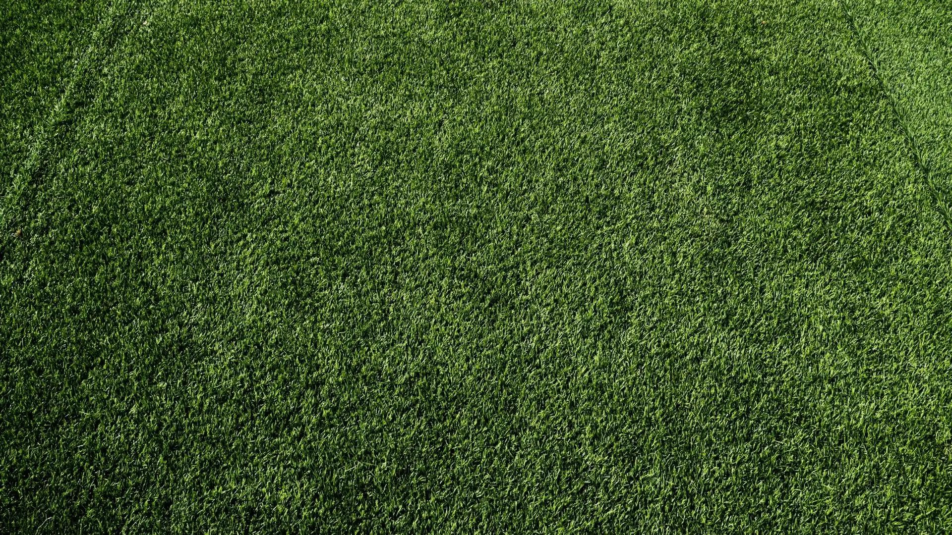 turf.webp​​​​‌﻿‍﻿​‍​‍‌‍﻿﻿‌﻿​‍‌‍‍‌‌‍‌﻿‌‍‍‌‌‍﻿‍​‍​‍​﻿‍‍​‍​‍‌﻿​﻿‌‍​‌‌‍﻿‍‌‍‍‌‌﻿‌​‌﻿‍‌​‍﻿‍‌‍‍‌‌‍﻿﻿​‍​‍​‍﻿​​‍​‍‌‍‍​‌﻿​‍‌‍‌‌‌‍‌‍​‍​‍​﻿‍‍​‍​‍‌‍‍​‌﻿‌​‌﻿‌​‌﻿​​‌﻿​﻿​﻿‍‍​‍﻿﻿​‍﻿﻿‌‍​﻿‌‍‍​‌‍‌‌‌‍﻿​‌﻿​﻿‌‍‌‌‌‍​‌‌﻿​​‌‍‍‌‌‍‌‌‌﻿​‍‌﻿​﻿​‍﻿‍‌﻿​﻿‌‍​‌‌‍﻿‍‌‍‍‌‌﻿‌​‌﻿‍‌​‍﻿‍‌﻿​﻿‌﻿‌​‌﻿‌‌‌‍‌​‌‍‍‌‌‍﻿﻿​‍﻿﻿‌‍‍‌‌‍﻿‍‌﻿‌​‌‍‌‌‌‍﻿‍‌﻿‌​​‍﻿﻿‌‍‌‌‌‍‌​‌‍‍‌‌﻿‌​​‍﻿﻿‌‍﻿‌‌‍﻿﻿‌‍‌​‌‍‌‌​﻿﻿‌‌﻿​​‌﻿​‍‌‍‌‌‌﻿​﻿‌‍‌‌‌‍﻿‍‌﻿‌​‌‍​‌‌﻿‌​‌‍‍‌‌‍﻿﻿‌‍﻿‍​﻿‍﻿‌‍‍‌‌‍‌​​﻿﻿‌‌‍‍‌‌‍﻿‌‌‍​‌‌‍‌﻿‌‍‌‌​‍﻿‌​﻿‌﻿​﻿‌‍‌‍‌‌​﻿​﻿‌‍​﻿​﻿​‌​﻿‌﻿‌‍‌‍​﻿​﻿‌‍​﻿​﻿‌﻿​﻿‌​​﻿‌‌​﻿‍​​﻿​﻿​﻿​‌‌‍‌‌‌‍​‌‌‍​‌‌‍‌‍​﻿‍​‌‍‌​​﻿‍‌‌‍‌​‌‍‌‌‌‍​‌‌‍​﻿‌‍‌‌​﻿‌‌‌‍​﻿​﻿‌﻿​﻿‌‌​﻿‌﻿‌‍‌‌​﻿​﻿‌‍‌​​﻿‍​​﻿‌‌​﻿‍​​﻿‍‌​‍﻿‌​﻿​‌​﻿‍‌​﻿​‍​﻿​​‌﻿‍​​﻿​‌​﻿​​​﻿‍​​﻿​​​‍﻿‌‌﻿‌﻿‌‍‌‌‌‍​‍‌﻿​​​﻿‍﻿‌﻿‌​‌﻿‍‌‌﻿​​‌‍‌‌​﻿﻿‌‌﻿​﻿‌‍​‌‌‍﻿‍‌‍‍‌‌﻿‌​‌﻿‍‌​‍﻿‍‌‍‍‌‌‍﻿‌‌‍​‌‌‍‌﻿‌‍‌‌‌​​‌‌﻿​﻿‌﻿​﻿‌‍‌‌‌﻿‌​​﻿‍﻿‌﻿​​‌‍​‌‌﻿‌​‌‍‍​​﻿﻿‌‌‍﻿﻿‌﻿​‍‌‍‍‌‌‍‌﻿‌‍‍‌‌‍﻿‍‌‍​‌‌‍﻿​‌​‌‍‌‍‍‌‌‍﻿​‌‍‌‌‌‍﻿‍‌‍​‌‌‍﻿‌‌‍‌‌​﻿﻿﻿‌‍​‍‌‍​‌‌﻿​﻿‌‍‌‌‌‌‌‌‌﻿​‍‌‍﻿​​﻿﻿‌‌‍‍​‌﻿‌​‌﻿‌​‌﻿​​‌﻿​﻿​‍‌‌​﻿​﻿‌​​‌​‍‌‌​﻿​‍‌​‌‍​‍‌‌​﻿​‍‌​‌‍‌‍​﻿‌‍‍​‌‍‌‌‌‍﻿​‌﻿​﻿‌‍‌‌‌‍​‌‌﻿​​‌‍‍‌‌‍‌‌‌﻿​‍‌﻿​﻿​‍﻿‍‌﻿​﻿‌‍​‌‌‍﻿‍‌‍‍‌‌﻿‌​‌﻿‍‌​‍﻿‍‌﻿​﻿‌﻿‌​‌﻿‌‌‌‍‌​‌‍‍‌‌‍﻿﻿​‍‌‍‌‍‍‌‌‍‌​​﻿﻿‌‌‍‍‌‌‍﻿‌‌‍​‌‌‍‌﻿‌‍‌‌​‍﻿‌​﻿‌﻿​﻿‌‍‌‍‌‌​﻿​﻿‌‍​﻿​﻿​‌​﻿‌﻿‌‍‌‍​﻿​﻿‌‍​﻿​﻿‌﻿​﻿‌​​﻿‌‌​﻿‍​​﻿​﻿​﻿​‌‌‍‌‌‌‍​‌‌‍​‌‌‍‌‍​﻿‍​‌‍‌​​﻿‍‌‌‍‌​‌‍‌‌‌‍​‌‌‍​﻿‌‍‌‌​﻿‌‌‌‍​﻿​﻿‌﻿​﻿‌‌​﻿‌﻿‌‍‌‌​﻿​﻿‌‍‌​​﻿‍​​﻿‌‌​﻿‍​​﻿‍‌​‍﻿‌​﻿​‌​﻿‍‌​﻿​‍​﻿​​‌﻿‍​​﻿​‌​﻿​​​﻿‍​​﻿​​​‍﻿‌‌﻿‌﻿‌‍‌‌‌‍​‍‌﻿​​​‍‌‍‌﻿‌​‌﻿‍‌‌﻿​​‌‍‌‌​﻿﻿‌‌﻿​﻿‌‍​‌‌‍﻿‍‌‍‍‌‌﻿‌​‌﻿‍‌​‍﻿‍‌‍‍‌‌‍﻿‌‌‍​‌‌‍‌﻿‌‍‌‌‌​​‌‌﻿​﻿‌﻿​﻿‌‍‌‌‌﻿‌​​‍‌‍‌﻿​​‌‍​‌‌﻿‌​‌‍‍​​﻿﻿‌‌‍﻿﻿‌﻿​‍‌‍‍‌‌‍‌﻿‌‍‍‌‌‍﻿‍‌‍​‌‌‍﻿​‌​‌‍‌‍‍‌‌‍﻿​‌‍‌‌‌‍﻿‍‌‍​‌‌‍﻿‌‌‍‌‌​‍‌‍‌﻿​​‌‍‌‌‌﻿​‍‌﻿​﻿‌﻿​​‌‍‌‌‌‍​﻿‌﻿‌​‌‍‍‌‌﻿‌‍‌‍‌‌​﻿﻿‌‌﻿​​‌﻿‌‌‌‍​‍‌‍﻿​‌‍‍‌‌﻿​﻿‌‍‍​‌‍‌‌‌‍‌​​‍​‍‌﻿﻿‌