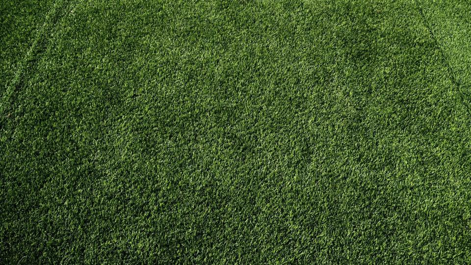 turf.webp