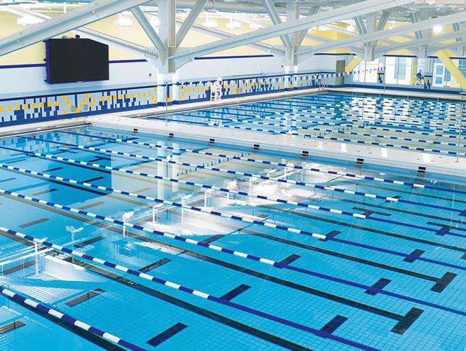 Olympic-sized pool in Stamford Connecticut