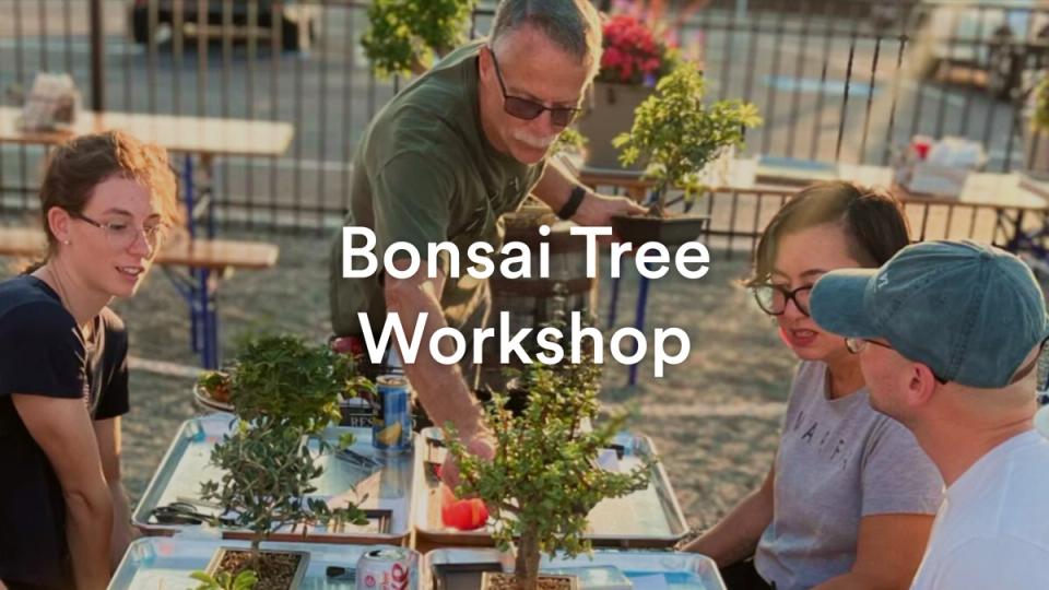 Web-Bonsai-Tree-Workshop-CH-FI.jpg​​​​‌﻿‍﻿​‍​‍‌‍﻿﻿‌﻿​‍‌‍‍‌‌‍‌﻿‌‍‍‌‌‍﻿‍​‍​‍​﻿‍‍​‍​‍‌﻿​﻿‌‍​‌‌‍﻿‍‌‍‍‌‌﻿‌​‌﻿‍‌​‍﻿‍‌‍‍‌‌‍﻿﻿​‍​‍​‍﻿​​‍​‍‌‍‍​‌﻿​‍‌‍‌‌‌‍‌‍​‍​‍​﻿‍‍​‍​‍‌‍‍​‌﻿‌​‌﻿‌​‌﻿​​‌﻿​﻿​﻿‍‍​‍﻿﻿​‍﻿﻿‌‍​﻿‌‍‍​‌‍‌‌‌‍﻿​‌﻿​﻿‌‍‌‌‌‍​‌‌﻿​​‌‍‍‌‌‍‌‌‌﻿​‍‌﻿​﻿​‍﻿‍‌﻿​﻿‌‍​‌‌‍﻿‍‌‍‍‌‌﻿‌​‌﻿‍‌​‍﻿‍‌﻿​﻿‌﻿‌​‌﻿‌‌‌‍‌​‌‍‍‌‌‍﻿﻿​‍﻿﻿‌‍‍‌‌‍﻿‍‌﻿‌​‌‍‌‌‌‍﻿‍‌﻿‌​​‍﻿﻿‌‍‌‌‌‍‌​‌‍‍‌‌﻿‌​​‍﻿﻿‌‍﻿‌‌‍﻿﻿‌‍‌​‌‍‌‌​﻿﻿‌‌﻿​​‌﻿​‍‌‍‌‌‌﻿​﻿‌‍‌‌‌‍﻿‍‌﻿‌​‌‍​‌‌﻿‌​‌‍‍‌‌‍﻿﻿‌‍﻿‍​﻿‍﻿‌‍‍‌‌‍‌​​﻿﻿‌‌‍‍‌‌‍﻿‌‌‍​‌‌‍‌﻿‌‍‌‌​‍﻿‌‌‍‌‌​﻿‍‌‌‍​﻿‌‍‌‌​﻿​﻿‌‍​‌​﻿‍‌‌‍​‌​﻿​​‌‍‌‌​﻿​‌​﻿‌‍​﻿‍​​﻿​‌​﻿‍​​﻿‍‌‌‍‌‍​﻿​​‌‍‌​​﻿​‍​﻿‍​​﻿‍‌‌‍‌‍‌‍​‍​﻿​﻿‌‍‌‍‌‍‌‌‌‍​‌‌‍‌‍‌‍​‍‌‍‌‌‌‍​‌​﻿‌‌‌‍‌‍​﻿‍‌‌‍‌​​﻿​﻿​﻿​​​﻿‌﻿‌‍‌​​‍﻿‌​﻿​‌​﻿‍‌​﻿​‍​﻿​​‌﻿‍​​﻿​‌​﻿​​​﻿‍​​﻿​​​‍﻿‌‌‍‍‍‌﻿​​‌‍‌﻿​﻿‍﻿‌﻿‌​‌﻿‍‌‌﻿​​‌‍‌‌​﻿﻿‌‌﻿​﻿‌‍​‌‌‍﻿‍‌‍‍‌‌﻿‌​‌﻿‍‌​‍﻿‍‌‍‍‌‌‍﻿‌‌‍​‌‌‍‌﻿‌‍‌‌‌​​‌‌﻿​﻿‌﻿​﻿‌‍‌‌‌﻿‌​​﻿‍﻿‌﻿​​‌‍​‌‌﻿‌​‌‍‍​​﻿﻿‌‌‍﻿﻿‌﻿​‍‌‍‍‌‌‍‌﻿‌‍‍‌‌‍﻿‍‌‍​‌‌‍﻿​‌​‌‍‌‍‍‌‌‍﻿​‌‍‌‌‌‍﻿‍‌‍​‌‌‍﻿‌‌‍‌‌​﻿﻿﻿‌‍​‍‌‍​‌‌﻿​﻿‌‍‌‌‌‌‌‌‌﻿​‍‌‍﻿​​﻿﻿‌‌‍‍​‌﻿‌​‌﻿‌​‌﻿​​‌﻿​﻿​‍‌‌​﻿​﻿‌​​‌​‍‌‌​﻿​‍‌​‌‍​‍‌‌​﻿​‍‌​‌‍‌‍​﻿‌‍‍​‌‍‌‌‌‍﻿​‌﻿​﻿‌‍‌‌‌‍​‌‌﻿​​‌‍‍‌‌‍‌‌‌﻿​‍‌﻿​﻿​‍﻿‍‌﻿​﻿‌‍​‌‌‍﻿‍‌‍‍‌‌﻿‌​‌﻿‍‌​‍﻿‍‌﻿​﻿‌﻿‌​‌﻿‌‌‌‍‌​‌‍‍‌‌‍﻿﻿​‍‌‍‌‍‍‌‌‍‌​​﻿﻿‌‌‍‍‌‌‍﻿‌‌‍​‌‌‍‌﻿‌‍‌‌​‍﻿‌‌‍‌‌​﻿‍‌‌‍​﻿‌‍‌‌​﻿​﻿‌‍​‌​﻿‍‌‌‍​‌​﻿​​‌‍‌‌​﻿​‌​﻿‌‍​﻿‍​​﻿​‌​﻿‍​​﻿‍‌‌‍‌‍​﻿​​‌‍‌​​﻿​‍​﻿‍​​﻿‍‌‌‍‌‍‌‍​‍​﻿​﻿‌‍‌‍‌‍‌‌‌‍​‌‌‍‌‍‌‍​‍‌‍‌‌‌‍​‌​﻿‌‌‌‍‌‍​﻿‍‌‌‍‌​​﻿​﻿​﻿​​​﻿‌﻿‌‍‌​​‍﻿‌​﻿​‌​﻿‍‌​﻿​‍​﻿​​‌﻿‍​​﻿​‌​﻿​​​﻿‍​​﻿​​​‍﻿‌‌‍‍‍‌﻿​​‌‍‌﻿​‍‌‍‌﻿‌​‌﻿‍‌‌﻿​​‌‍‌‌​﻿﻿‌‌﻿​﻿‌‍​‌‌‍﻿‍‌‍‍‌‌﻿‌​‌﻿‍‌​‍﻿‍‌‍‍‌‌‍﻿‌‌‍​‌‌‍‌﻿‌‍‌‌‌​​‌‌﻿​﻿‌﻿​﻿‌‍‌‌‌﻿‌​​‍‌‍‌﻿​​‌‍​‌‌﻿‌​‌‍‍​​﻿﻿‌‌‍﻿﻿‌﻿​‍‌‍‍‌‌‍‌﻿‌‍‍‌‌‍﻿‍‌‍​‌‌‍﻿​‌​‌‍‌‍‍‌‌‍﻿​‌‍‌‌‌‍﻿‍‌‍​‌‌‍﻿‌‌‍‌‌​‍‌‍‌﻿​​‌‍‌‌‌﻿​‍‌﻿​﻿‌﻿​​‌‍‌‌‌‍​﻿‌﻿‌​‌‍‍‌‌﻿‌‍‌‍‌‌​﻿﻿‌‌﻿​​‌﻿‌‌‌‍​‍‌‍﻿​‌‍‍‌‌﻿​﻿‌‍‍​‌‍‌‌‌‍‌​​‍​‍‌﻿﻿‌