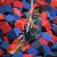 kid swinging into foam pit​​​​‌﻿‍﻿​‍​‍‌‍﻿﻿‌﻿​‍‌‍‍‌‌‍‌﻿‌‍‍‌‌‍﻿‍​‍​‍​﻿‍‍​‍​‍‌﻿​﻿‌‍​‌‌‍﻿‍‌‍‍‌‌﻿‌​‌﻿‍‌​‍﻿‍‌‍‍‌‌‍﻿﻿​‍​‍​‍﻿​​‍​‍‌‍‍​‌﻿​‍‌‍‌‌‌‍‌‍​‍​‍​﻿‍‍​‍​‍‌‍‍​‌﻿‌​‌﻿‌​‌﻿​​​﻿‍‍​‍﻿﻿​‍﻿﻿‌‍﻿​‌‍﻿﻿‌‍​﻿‌‍​‌‌‍﻿​‌‍‍​‌‍﻿﻿‌﻿​﻿‌﻿‌​​﻿‍‍​﻿​﻿​﻿​﻿​﻿​﻿​﻿​﻿​‍﻿﻿‌‍‍‌‌‍﻿‍‌﻿‌​‌‍‌‌‌‍﻿‍‌﻿‌​​‍﻿﻿‌‍‌‌‌‍‌​‌‍‍‌‌﻿‌​​‍﻿﻿‌‍﻿‌‌‍﻿﻿‌‍‌​‌‍‌‌​﻿﻿‌‌﻿​​‌﻿​‍‌‍‌‌‌﻿​﻿‌‍‌‌‌‍﻿‍‌﻿‌​‌‍​‌‌﻿‌​‌‍‍‌‌‍﻿﻿‌‍﻿‍​﻿‍﻿‌‍‍‌‌‍‌​​﻿﻿‌‌‍‌​​﻿​​‌‍​‌‌‍​﻿​﻿‌‌​﻿​​‌‍​‌​﻿‍​​‍﻿‌​﻿‌‌‌‍​﻿​﻿​‍​﻿‌‍​‍﻿‌​﻿‌​‌‍‌​‌‍‌​‌‍​‍​‍﻿‌‌‍​‌‌‍‌‌‌‍​‍‌‍​‍​‍﻿‌​﻿​​​﻿‍​​﻿​‌​﻿‌‍​﻿​‌‌‍‌​​﻿​﻿​﻿​​‌‍​‍‌‍‌‌​﻿‌​​﻿‌‌​﻿‍﻿‌﻿‌​‌﻿‍‌‌﻿​​‌‍‌‌​﻿﻿‌‌﻿​﻿‌﻿‌‌‌‍﻿‌‌‍﻿‌‌‍‌‌‌﻿​‍‌​​﻿‌‍​‌‌‍﻿‌‌﻿​​​﻿‍﻿‌﻿​​‌‍​‌‌﻿‌​‌‍‍​​﻿﻿‌‌﻿​​‌‍​‌‌‍‌﻿‌‍‌‌‌​​‍‌﻿‌‌‌‍‍‌‌‍﻿​‌‍‌​‌‍‌‌‌﻿​‍​‍‌‌​﻿‌‌‌​​‍‌‌﻿﻿‌‍‍﻿‌‍‌‌‌﻿‍‌​‍‌‌​﻿​﻿‌​‌​​‍‌‌​﻿​﻿‌​‌​​‍‌‌​﻿​‍​﻿​‍​﻿‍​​﻿​‍​﻿‌​‌‍‌​​﻿​‍‌‍​‍​﻿‌‍​﻿‍​​﻿​‍​﻿‌​‌‍​﻿​﻿‌​​‍‌‌​﻿​‍​﻿​‍​‍‌‌​﻿‌‌‌​‌​​‍﻿‍‌﻿‌​‌‍‍​‌﻿‌‌‌‍﻿‌‌‍​‍‌‍﻿‍‌‍​‌‌‍‍‌‌‍﻿​‌﻿​﻿​‍‌‌​﻿‌‌‌​​‍‌‌﻿﻿‌‍‍﻿‌‍‌‌‌﻿‍‌​‍‌‌​﻿​﻿‌​‌​​‍‌‌​﻿​﻿‌​‌​​‍‌‌​﻿​‍​﻿​‍‌‍​‍‌‍‌‍‌‍​﻿‌‍​‌​﻿​‌​﻿​‍‌‍‌‍​﻿‌‌​﻿​‍​﻿‍‌‌‍‌​​﻿‌‍​‍‌‌​﻿​‍​﻿​‍​‍‌‌​﻿‌‌‌​‌​​‍﻿‍‌﻿‌​‌‍‍​‌﻿‌‌‌‍﻿‌‌‍​‍‌‍﻿‍‌‍​‌‌‍‍‌‌‍﻿​‌​‍‌‌‍﻿‌‌‍​‌‌‍‌﻿‌‍‌‌​‍﻿‍‌‍​‌‌‍﻿​‌﻿‌​​﻿﻿﻿‌‍​‍‌‍​‌‌﻿​﻿‌‍‌‌‌‌‌‌‌﻿​‍‌‍﻿​​﻿﻿‌‌‍‍​‌﻿‌​‌﻿‌​‌﻿​​​‍‌‌​﻿​﻿‌​​‌​‍‌‌​﻿​‍‌​‌‍​‍‌‌​﻿​‍‌​‌‍‌‍﻿​‌‍﻿﻿‌‍​﻿‌‍​‌‌‍﻿​‌‍‍​‌‍﻿﻿‌﻿​﻿‌﻿‌​​‍‌‌​﻿​﻿‌​​‌​﻿​﻿​﻿​﻿​﻿​﻿​﻿​﻿​‍‌‍‌‍‍‌‌‍‌​​﻿﻿‌‌‍‌​​﻿​​‌‍​‌‌‍​﻿​﻿‌‌​﻿​​‌‍​‌​﻿‍​​‍﻿‌​﻿‌‌‌‍​﻿​﻿​‍​﻿‌‍​‍﻿‌​﻿‌​‌‍‌​‌‍‌​‌‍​‍​‍﻿‌‌‍​‌‌‍‌‌‌‍​‍‌‍​‍​‍﻿‌​﻿​​​﻿‍​​﻿​‌​﻿‌‍​﻿​‌‌‍‌​​﻿​﻿​﻿​​‌‍​‍‌‍‌‌​﻿‌​​﻿‌‌​‍‌‍‌﻿‌​‌﻿‍‌‌﻿​​‌‍‌‌​﻿﻿‌‌﻿​﻿‌﻿‌‌‌‍﻿‌‌‍﻿‌‌‍‌‌‌﻿​‍‌​​﻿‌‍​‌‌‍﻿‌‌﻿​​​‍‌‍‌﻿​​‌‍​‌‌﻿‌​‌‍‍​​﻿﻿‌‌﻿​​‌‍​‌‌‍‌﻿‌‍‌‌‌​​‍‌﻿‌‌‌‍‍‌‌‍﻿​‌‍‌​‌‍‌‌‌﻿​‍​‍‌‌​﻿‌‌‌​​‍‌‌﻿﻿‌‍‍﻿‌‍‌‌‌﻿‍‌​‍‌‌​﻿​﻿‌​‌​​‍‌‌​﻿​﻿‌​‌​​‍‌‌​﻿​‍​﻿​‍​﻿‍​​﻿​‍​﻿‌​‌‍‌​​﻿​‍‌‍​‍​﻿‌‍​﻿‍​​﻿​‍​﻿‌​‌‍​﻿​﻿‌​​‍‌‌​﻿​‍​﻿​‍​‍‌‌​﻿‌‌‌​‌​​‍﻿‍‌﻿‌​‌‍‍​‌﻿‌‌‌‍﻿‌‌‍​‍‌‍﻿‍‌‍​‌‌‍‍‌‌‍﻿​‌﻿​﻿​‍‌‌​﻿‌‌‌​​‍‌‌﻿﻿‌‍‍﻿‌‍‌‌‌﻿‍‌​‍‌‌​﻿​﻿‌​‌​​‍‌‌​﻿​﻿‌​‌​​‍‌‌​﻿​‍​﻿​‍‌‍​‍‌‍‌‍‌‍​﻿‌‍​‌​﻿​‌​﻿​‍‌‍‌‍​﻿‌‌​﻿​‍​﻿‍‌‌‍‌​​﻿‌‍​‍‌‌​﻿​‍​﻿​‍​‍‌‌​﻿‌‌‌​‌​​‍﻿‍‌﻿‌​‌‍‍​‌﻿‌‌‌‍﻿‌‌‍​‍‌‍﻿‍‌‍​‌‌‍‍‌‌‍﻿​‌​‍‌‌‍﻿‌‌‍​‌‌‍‌﻿‌‍‌‌​‍﻿‍‌‍​‌‌‍﻿​‌﻿‌​​‍‌‍‌﻿​​‌‍‌‌‌﻿​‍‌﻿​﻿‌﻿​​‌‍‌‌‌‍​﻿‌﻿‌​‌‍‍‌‌﻿‌‍‌‍‌‌​﻿﻿‌‌﻿​​‌﻿‌‌‌‍​‍‌‍﻿​‌‍‍‌‌﻿​﻿‌‍‍​‌‍‌‌‌‍‌​​‍​‍‌﻿﻿‌