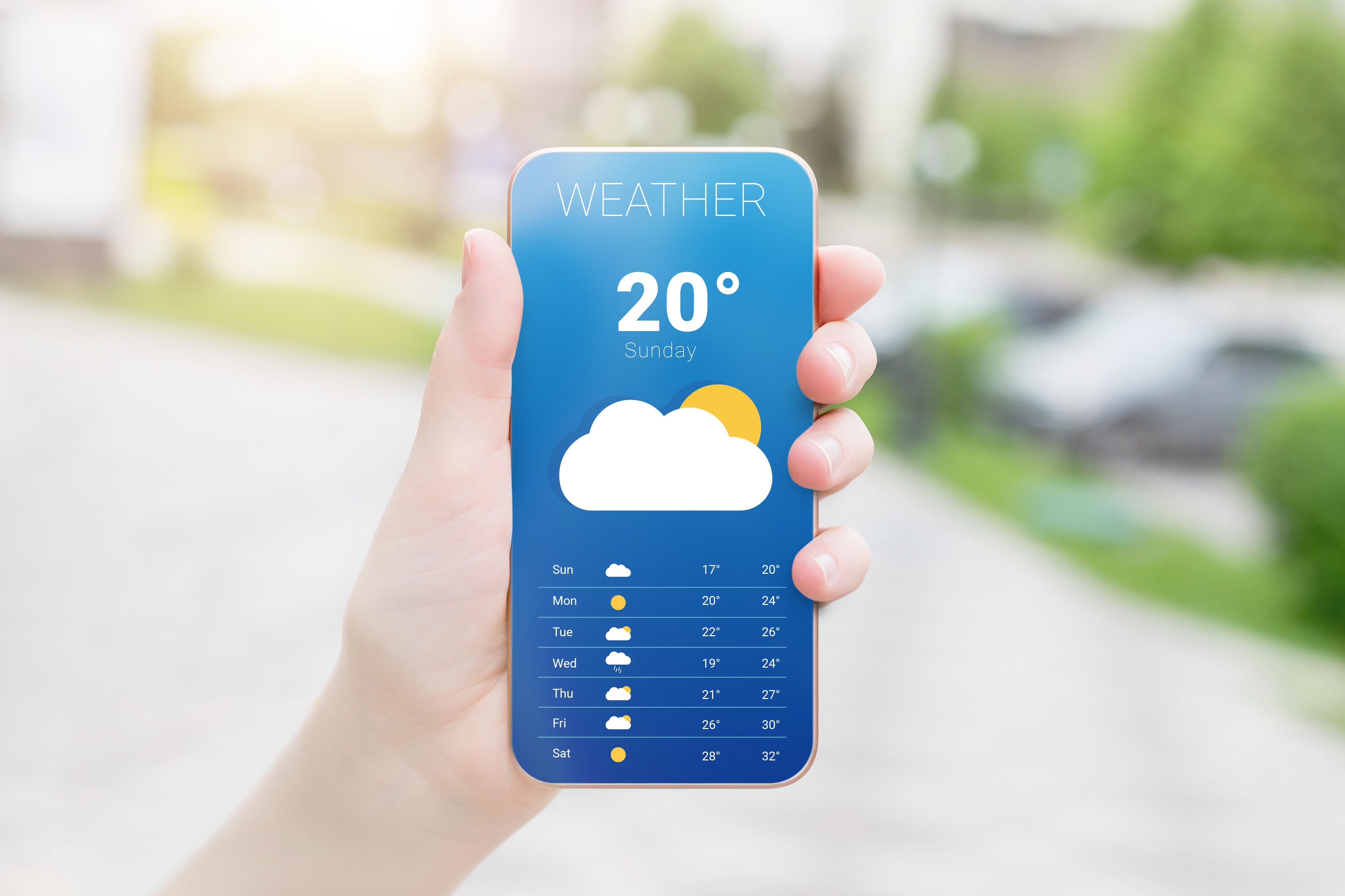 időjárás jelentés mobil applikáció háttérben fákkal 