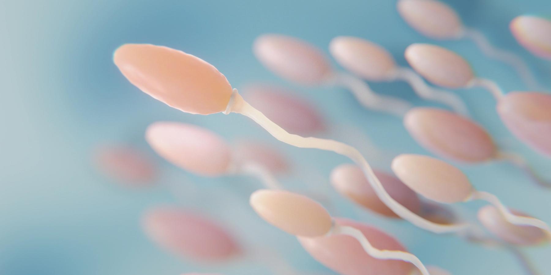 Gyönyörű termékenységi koncepció 3D-ben