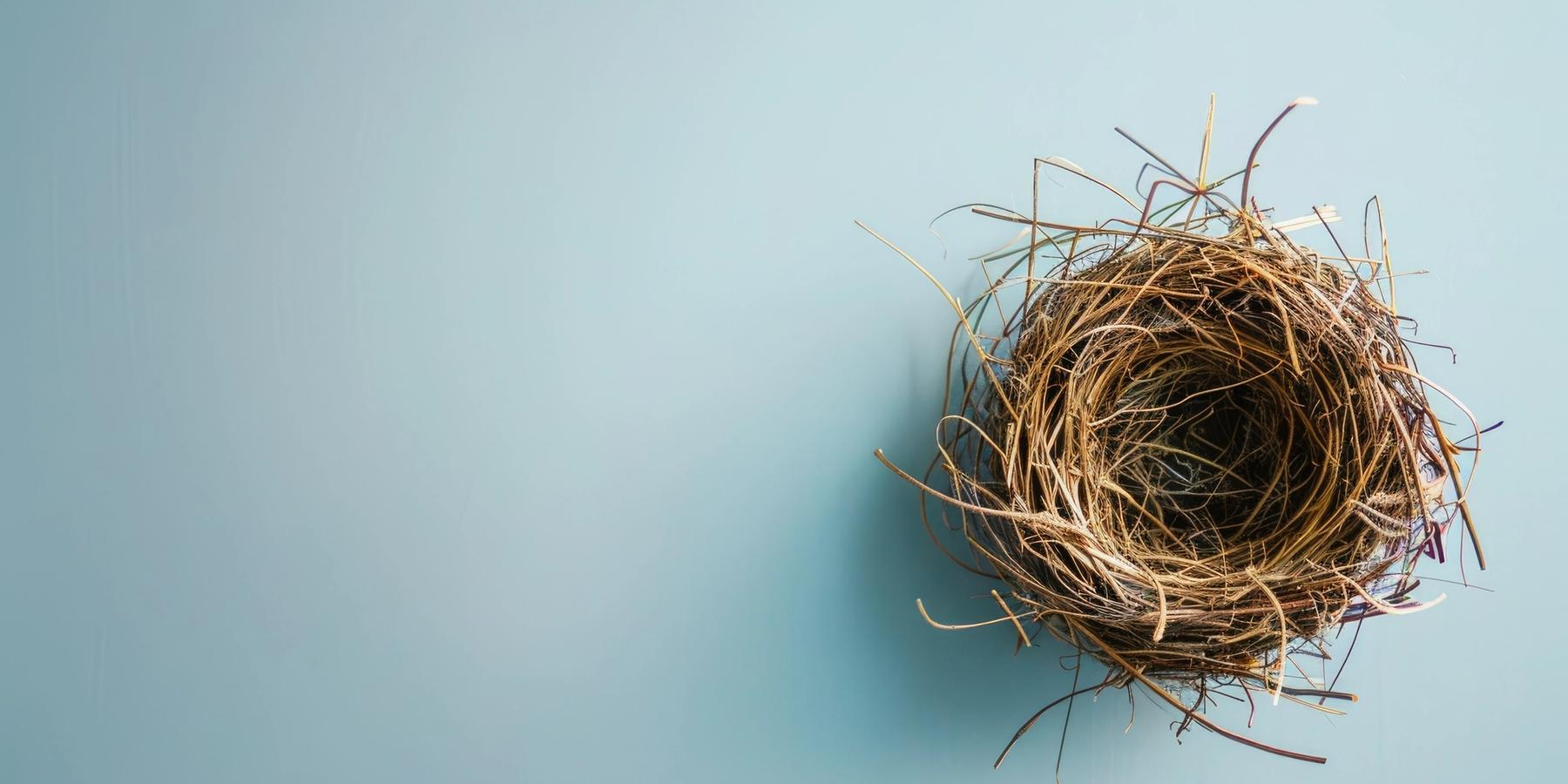 Üres madárfészek gallyakkal halványkék háttéren - üres fészek