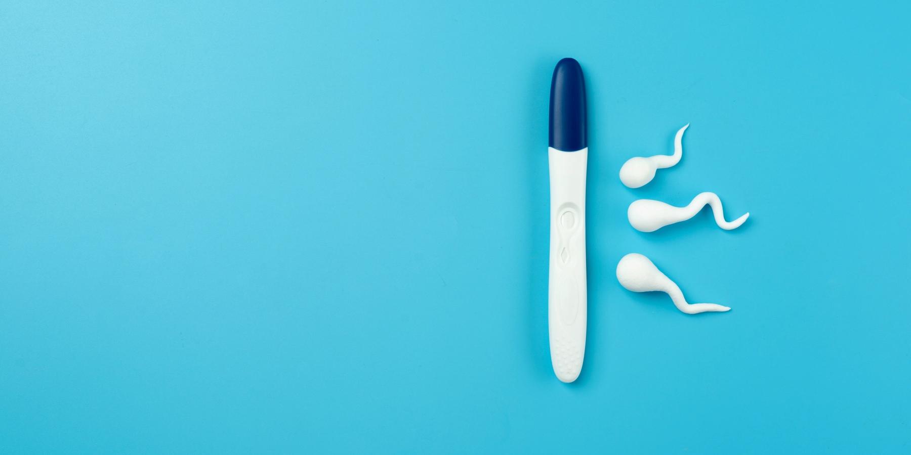 Terhességi teszt csendélet elrendezése