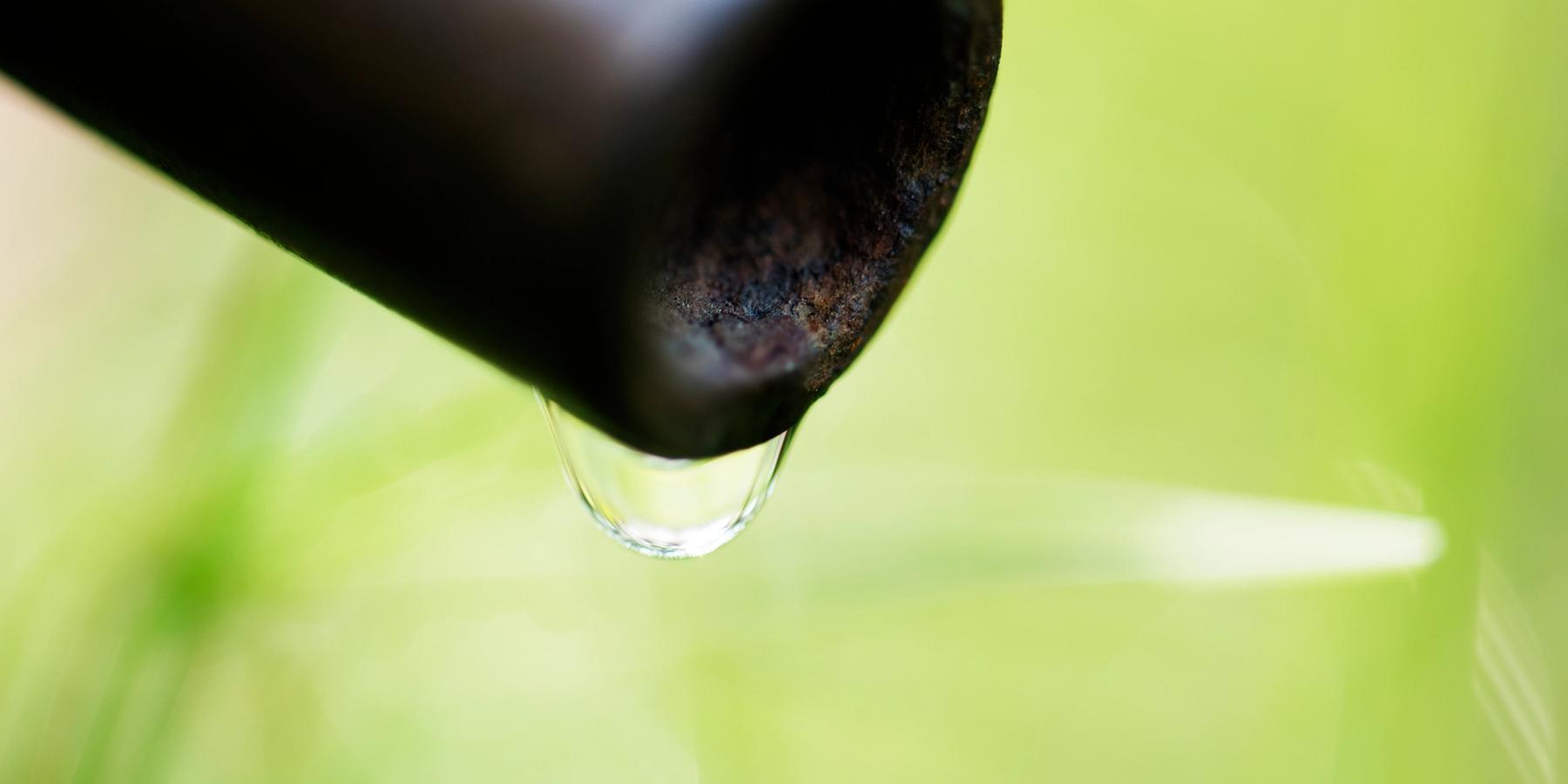 Közeli felvétel egy vízcseppről a természetben.