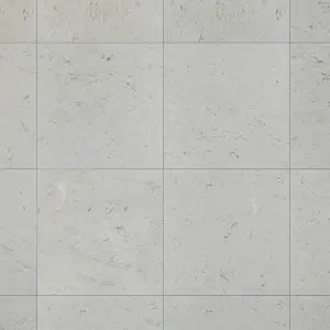 Shellstone Brushed Limestone Wall & Floor Tiles view 3