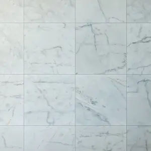 Carrara White Honed White Marble Wall & Floor Tiles view 6
