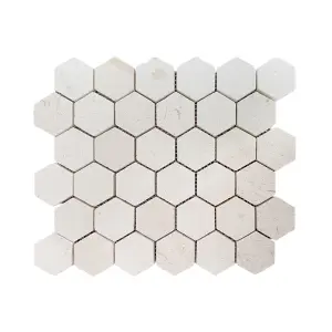 Shellstone Limestone Honed Marble Hexagon Mosaic Tile view 1