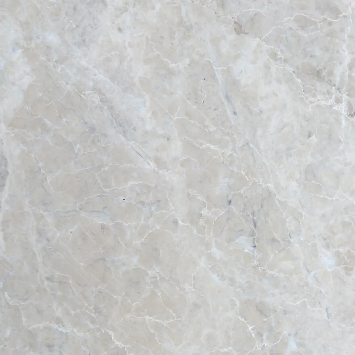 Platinum Polished Marble Wall & Floor Tiles