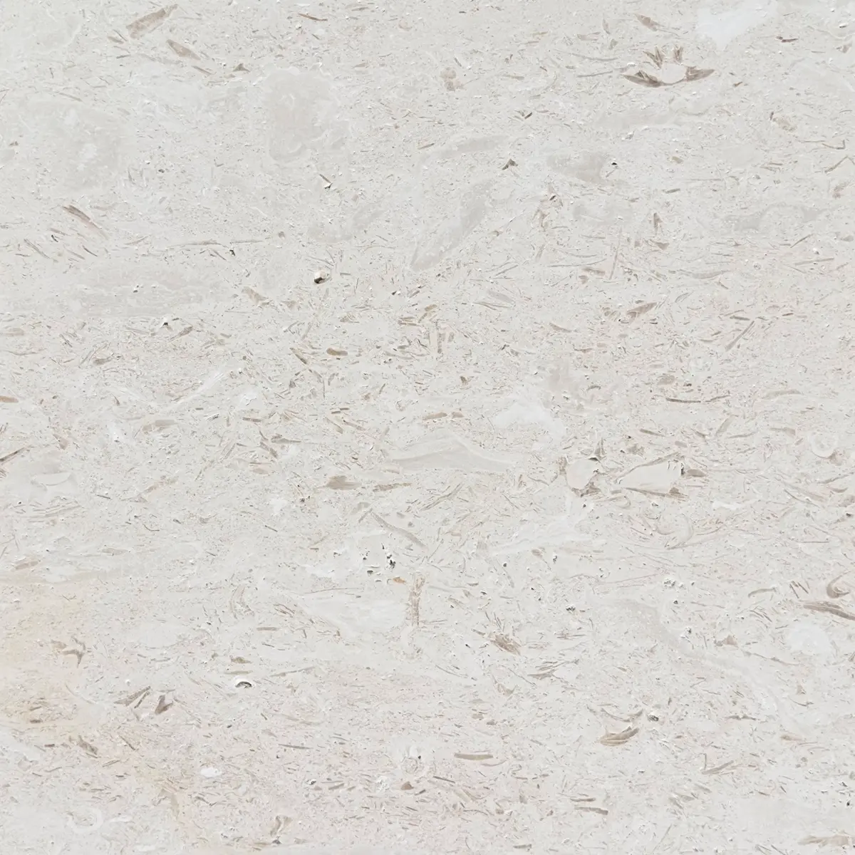 Shellstone Brushed Limestone Wall & Floor Tiles