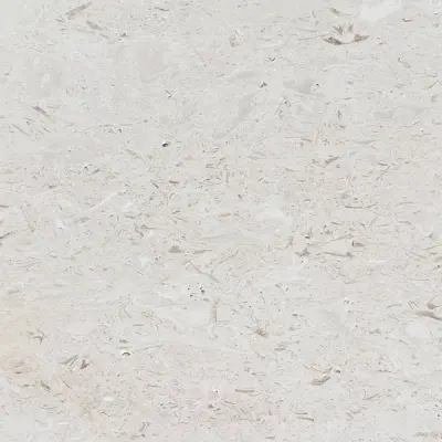 Shellstone Brushed Limestone Wall & Floor Tiles