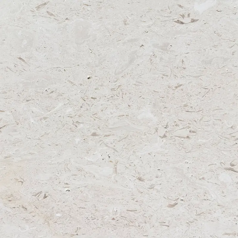 Shellstone Brushed Limestone Wall & Floor Tiles